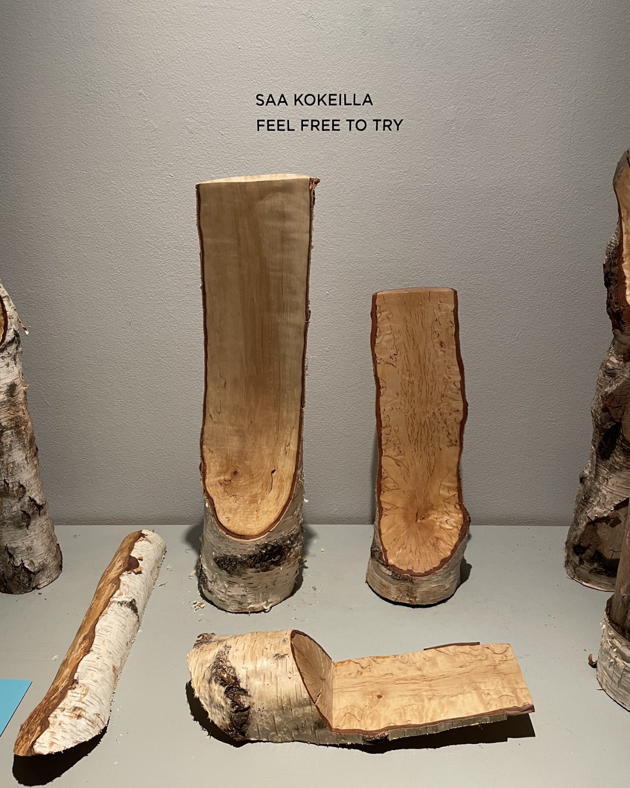 Forest_Glow_Craft_Museum_Finland_Tulipuro_Tobias_Feuerbacher_4084.jpg