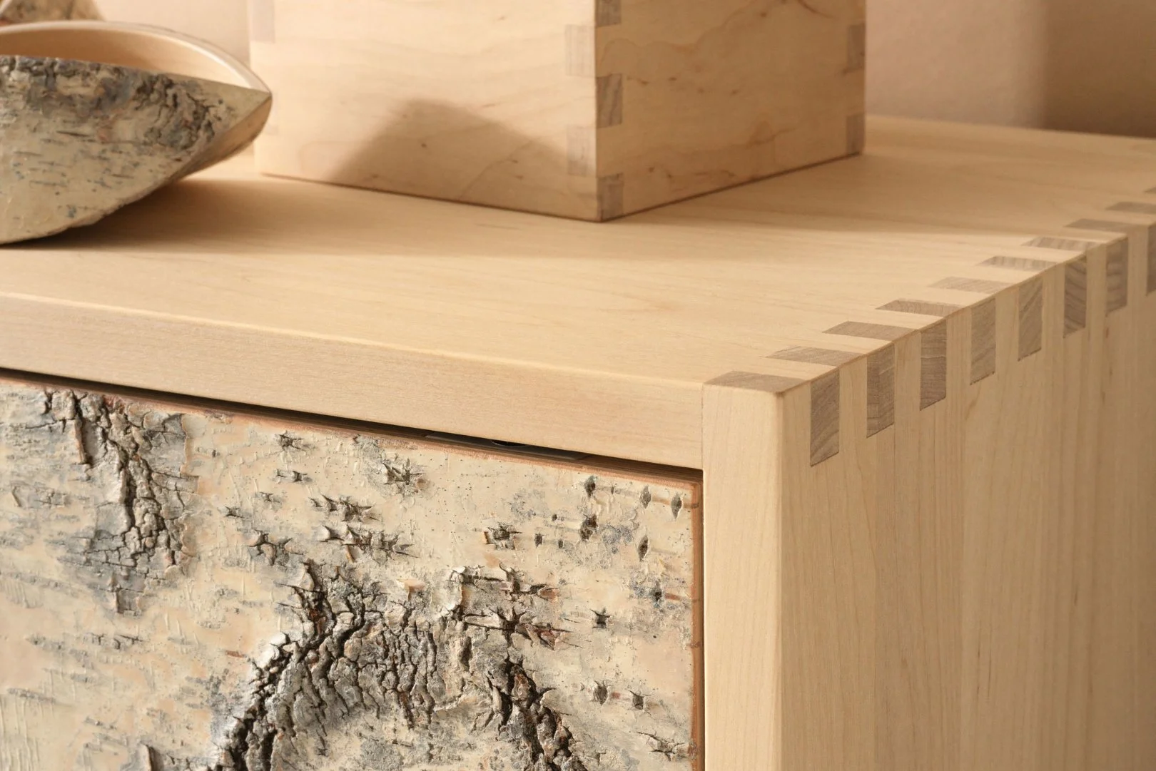 Tulipuro_Tobias_Feuerbacher_Tansu_Birch_Forest_0152.jpg