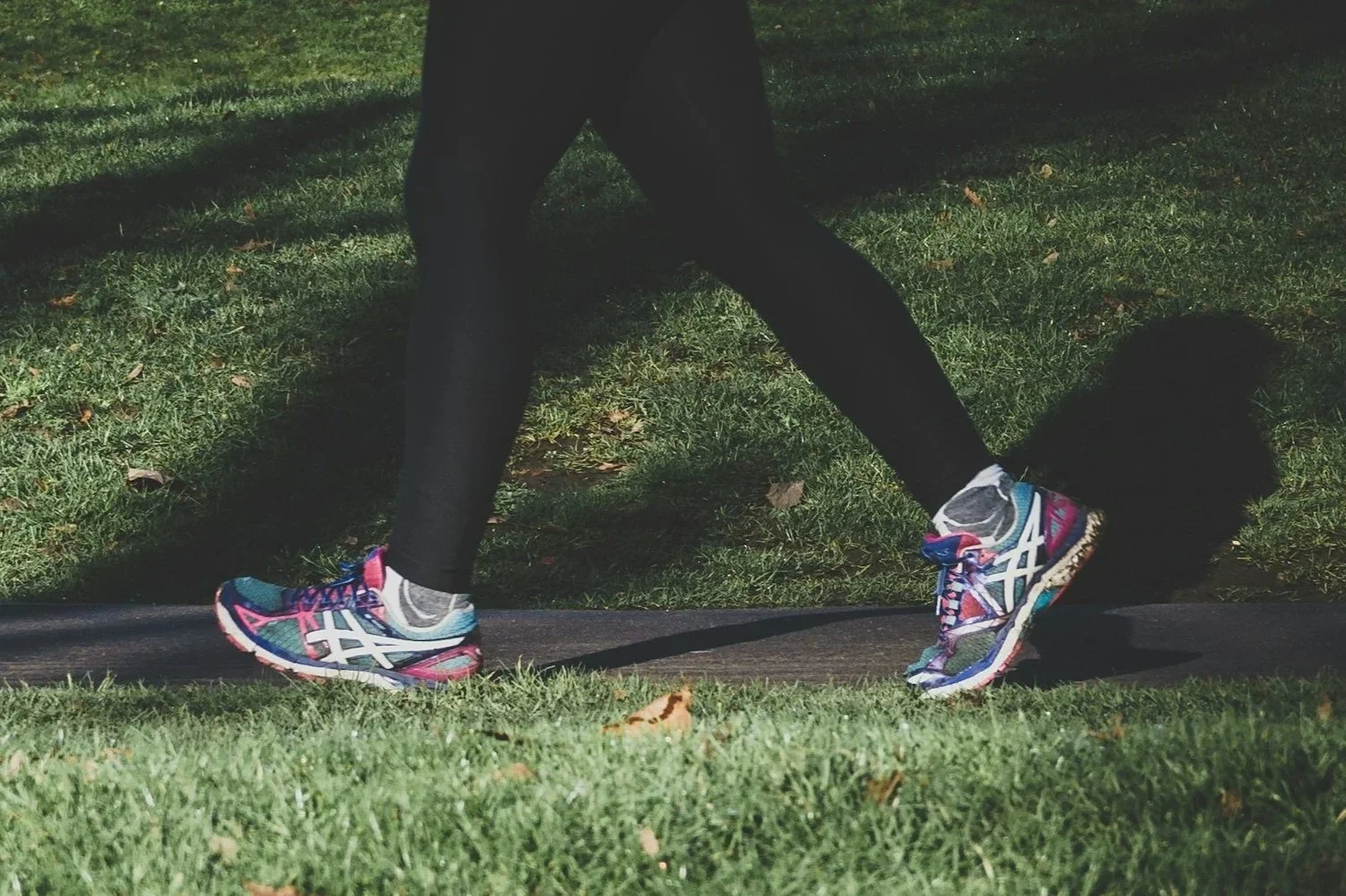 Daily walking and wellness plans