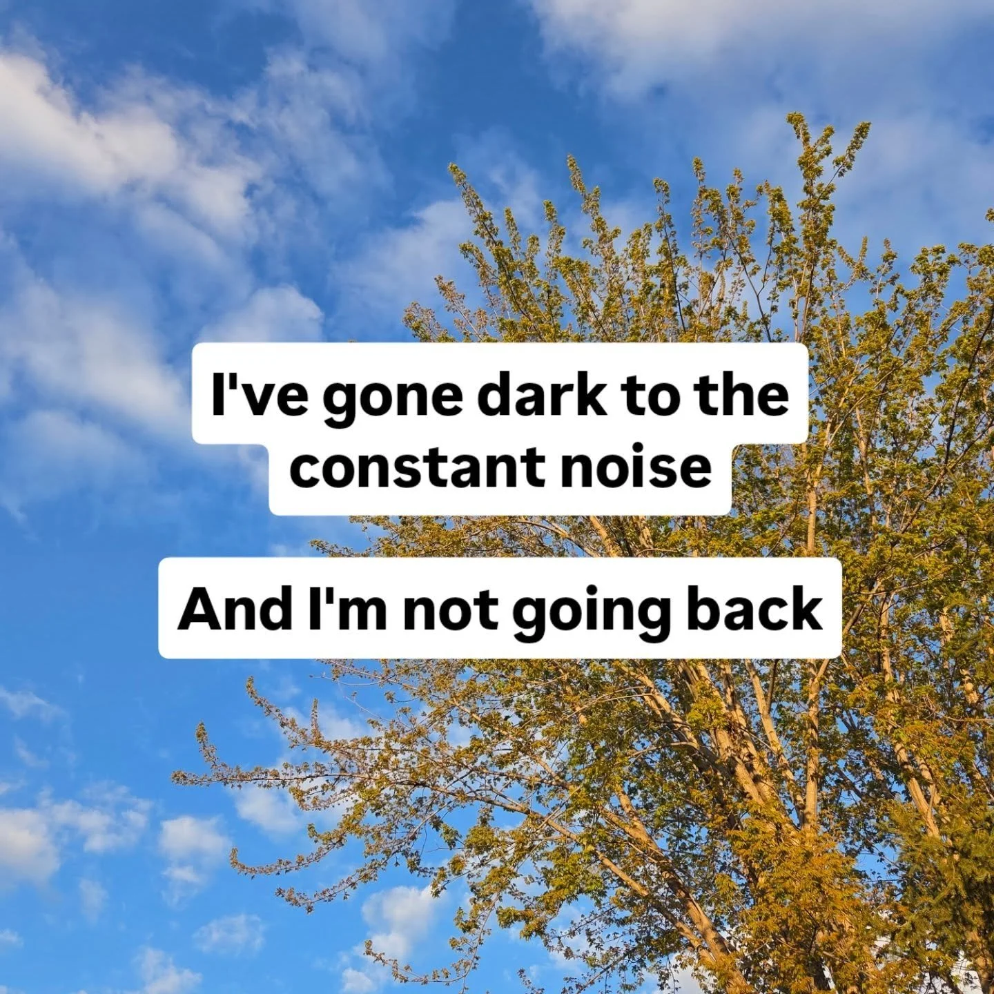 I've gone dark to the world for a little over a month.
No Instagram alerts.
No LinkedIn alerts.
No news alerts.
No constant pinging asking for a piece of my attention every 47 seconds.

Here's what I found: My nervous system was running at level 100 
