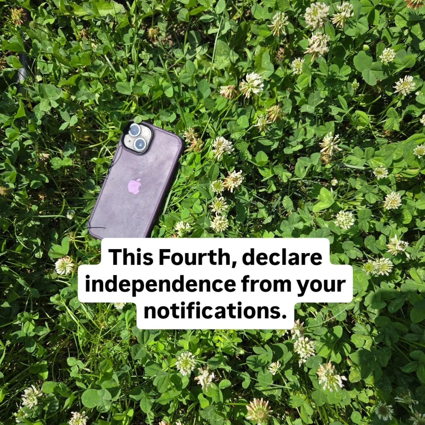 Everyone's about to post about freedom this weekend. 

Here's the version nobody thinks about:

Independence from the constant pinging.

Your attention is yours. Your focus, your morning, your nervous system. 

Somewhere along the way most of us hand