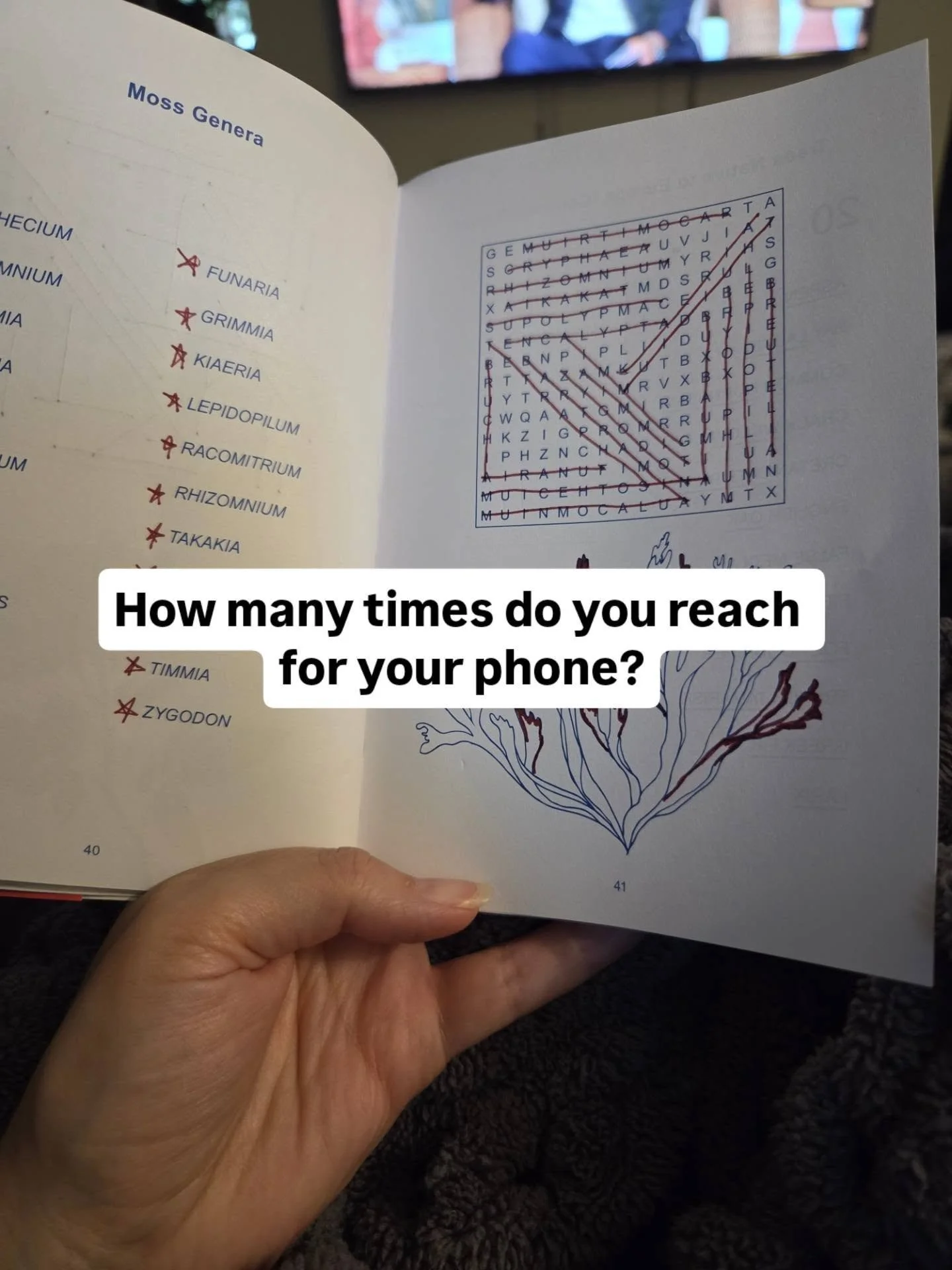 Here's a dare. Next time you sit down to watch TV, count how many times you reach for your phone.

Not only during the commercial breaks, but mid-scene, mid-line, and for no reason you could name. 

That reach is so automatic most of us have stopped 