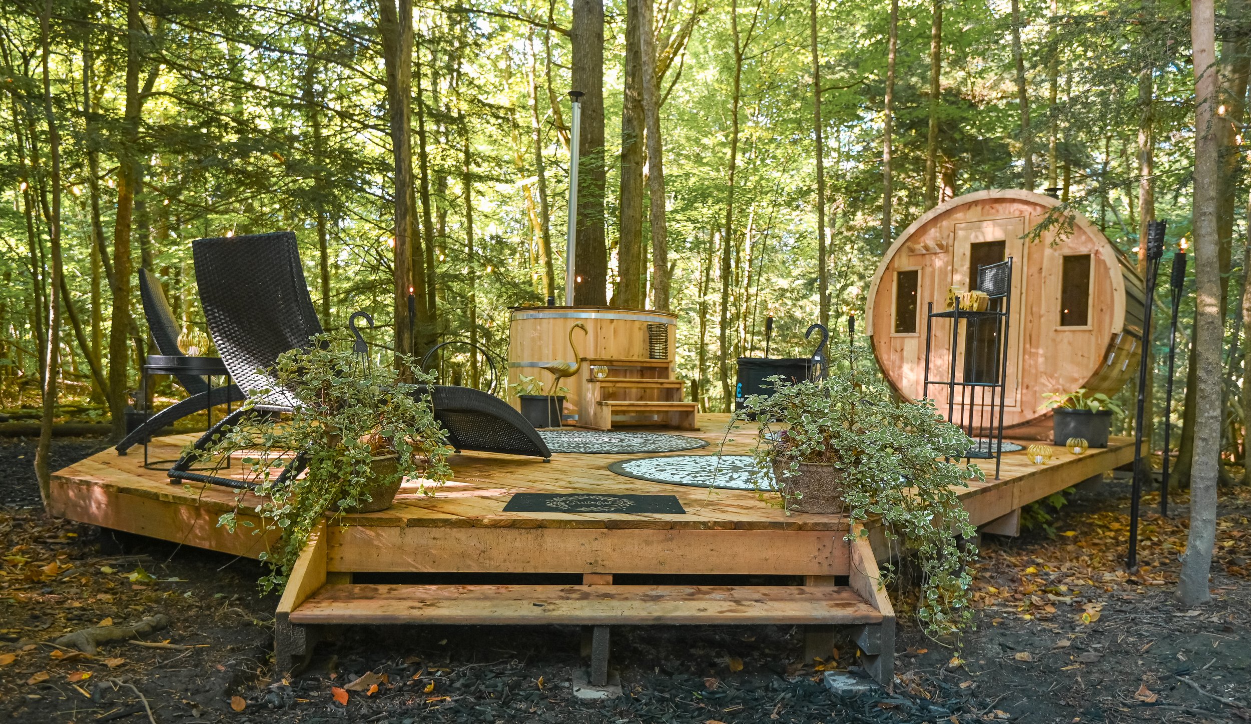 DSC_6066-3.jpg