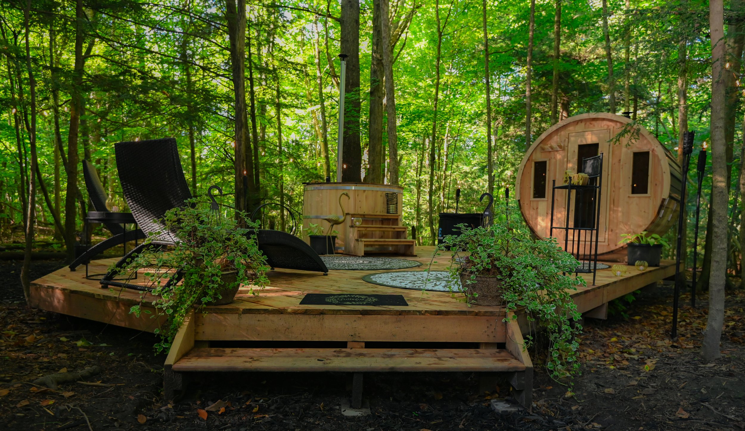 DSC_6066-2.jpg