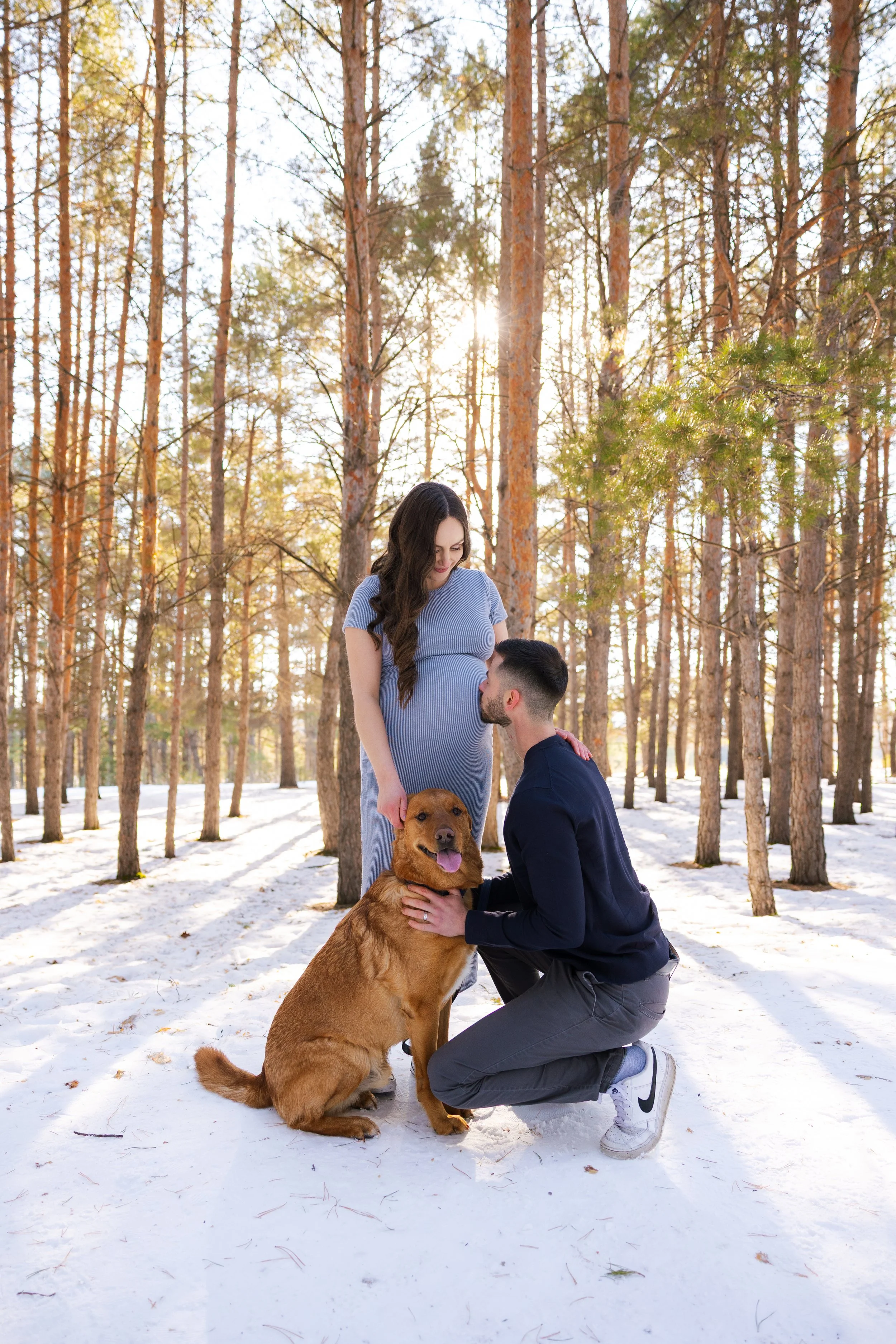 A couple happily embracing outdoors in the snow with trees in the background, during daylight hours kissing mom's baby bump next to their dog