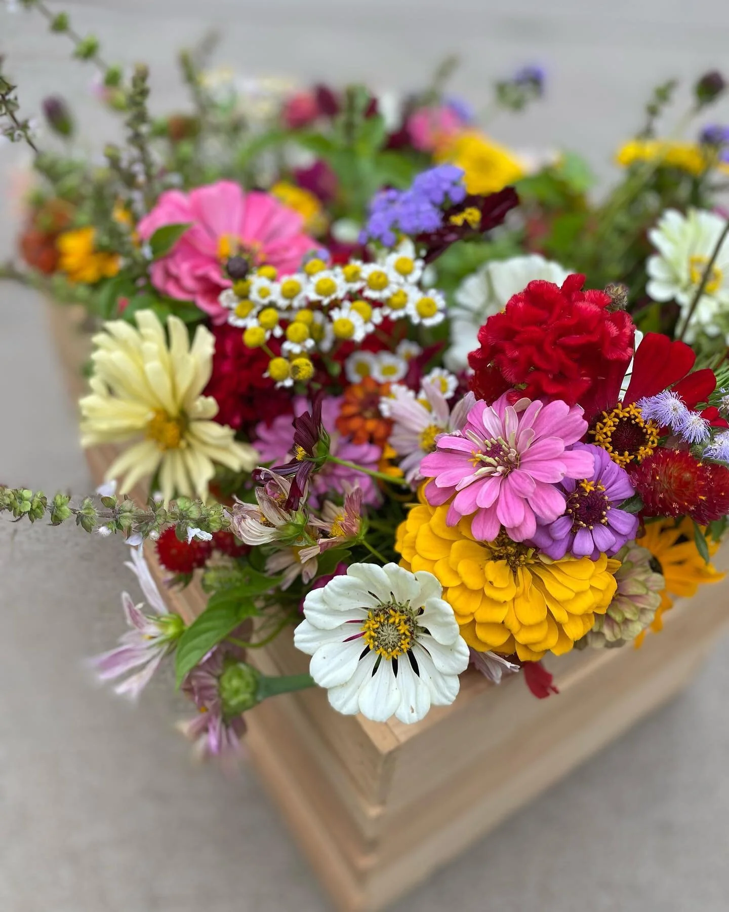 Packed with blooms and ready for the weekend! Come visit us at Carolina Lakes Farmers Market on Friday night and Lillington Farmers Market on Saturday morning!!! 

#lillingtonncfarmersmarket
#longcreekflowerfarm #lillington #harnettcounty #localflowe