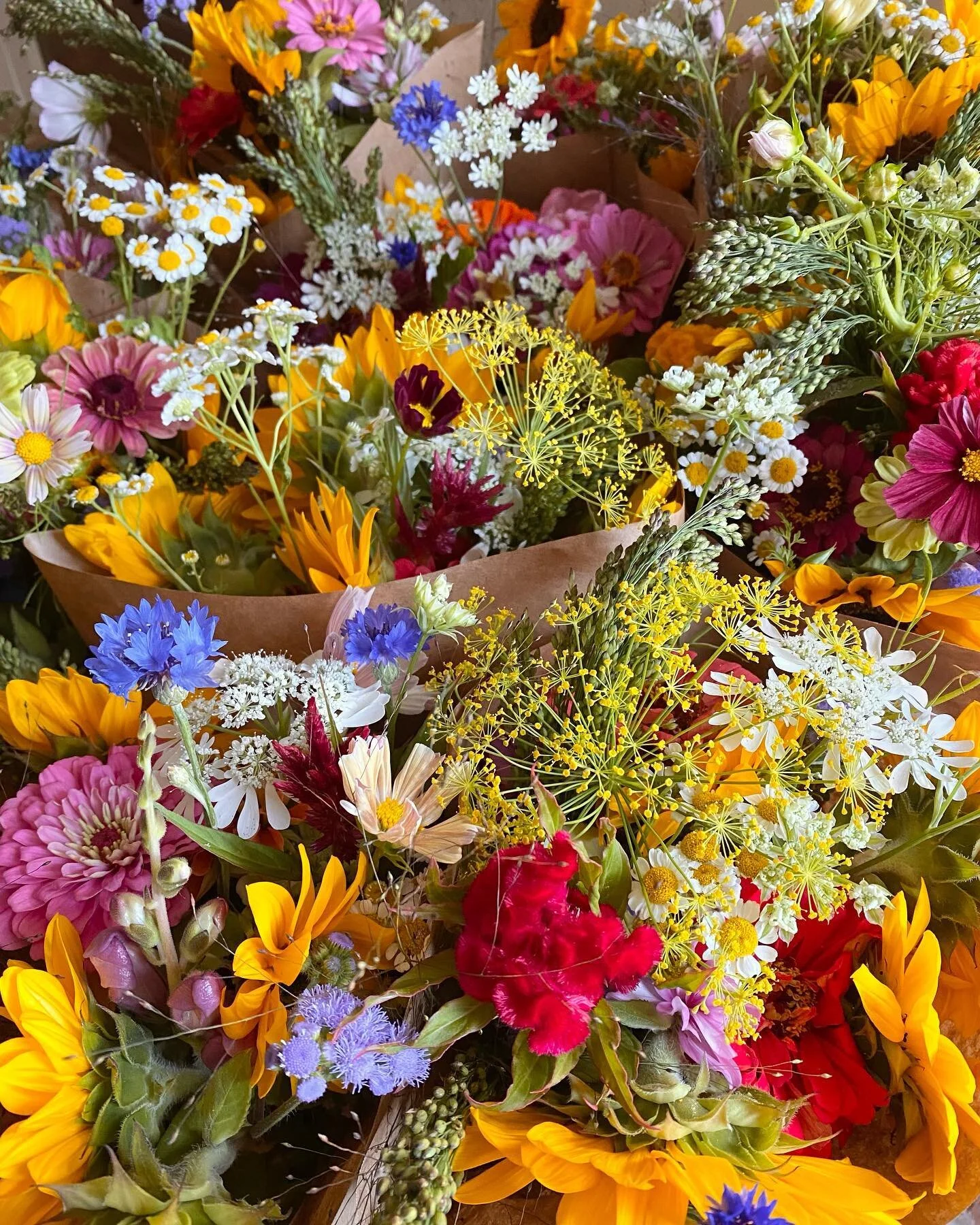 Visit us tomorrow at the Lillington Farmers Market! 

#lillingtonncfarmersmarket
#longcreekflowerfarm #lillington #harnettcounty #localflowers #flowerfarm