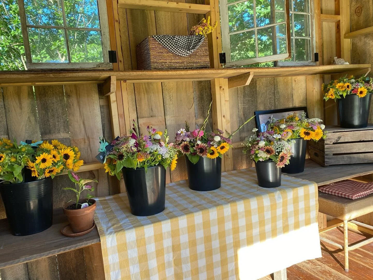 The Roadside Stand is open today, come visit us!!