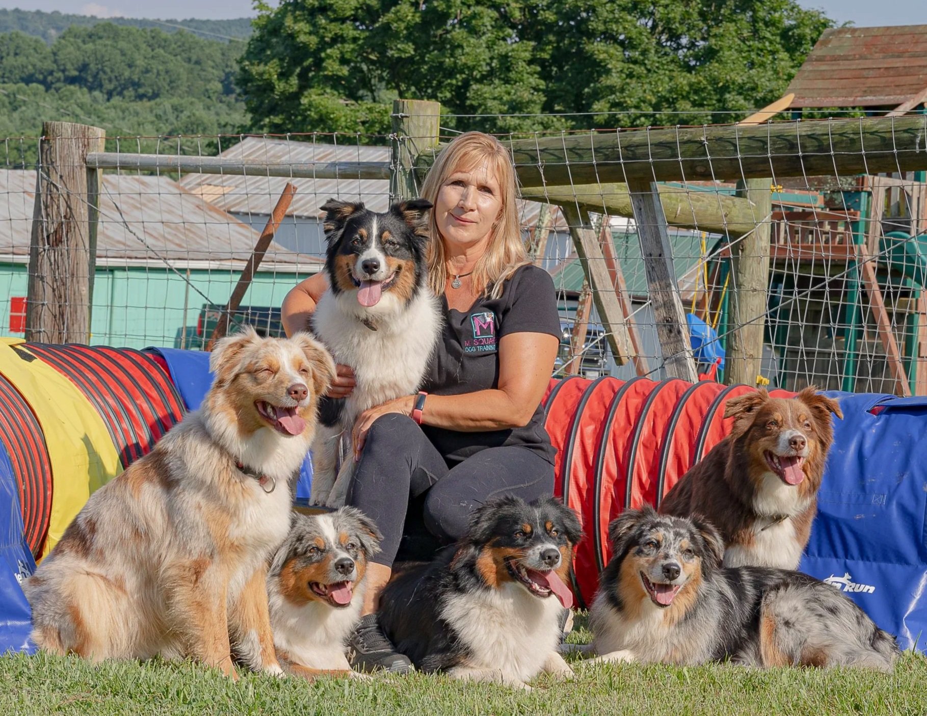 M Squared Australian Shepherds