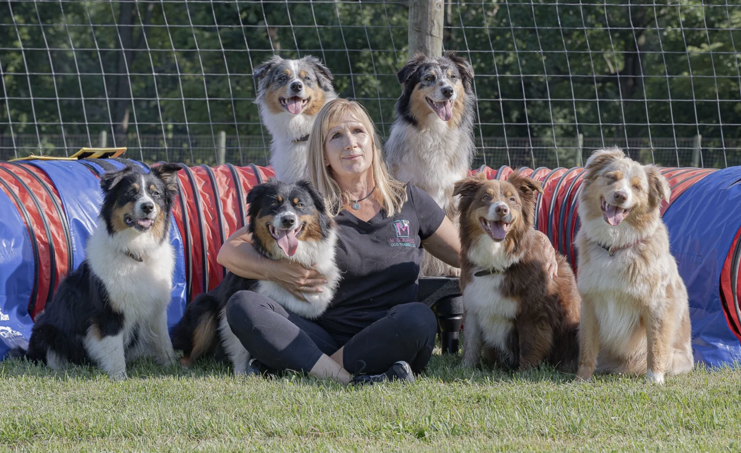 M Squared Australian Shepherds