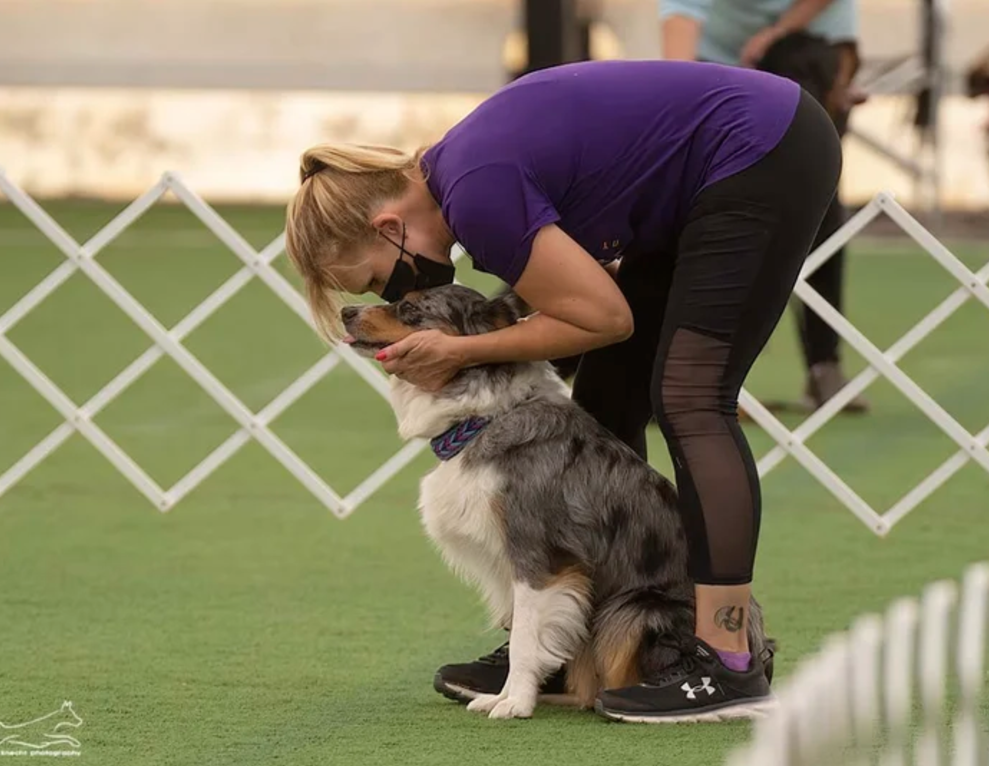 M Squared Australian Shepherds