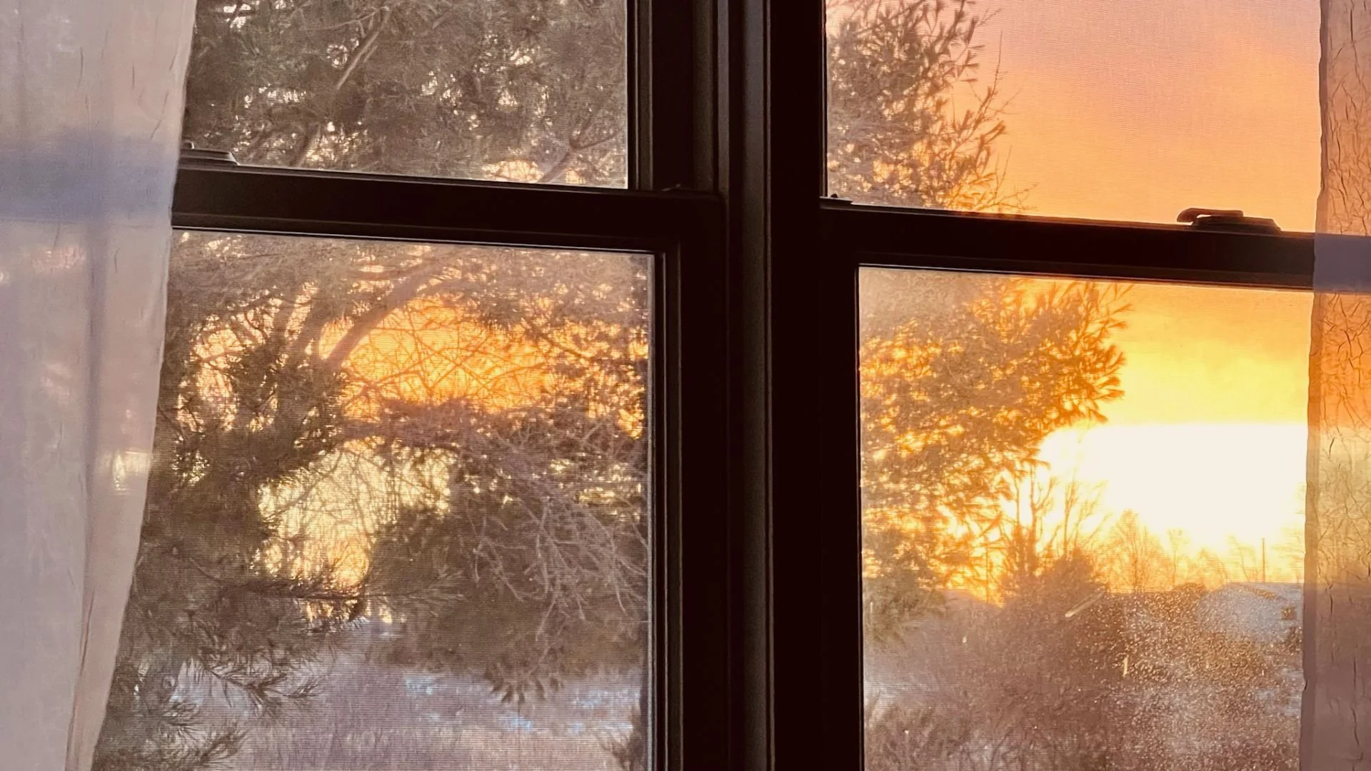 Clearing the Inner Landscape