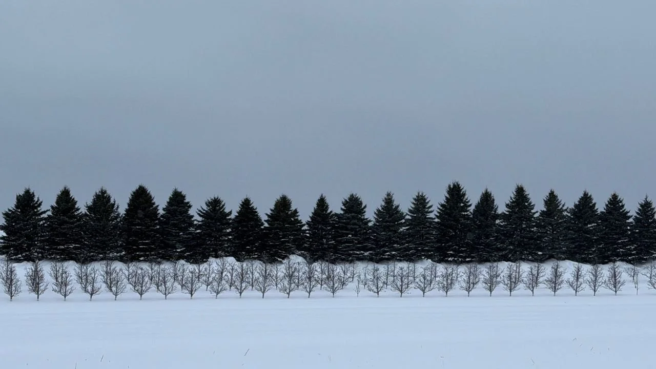 The Unseen Work of Transformation