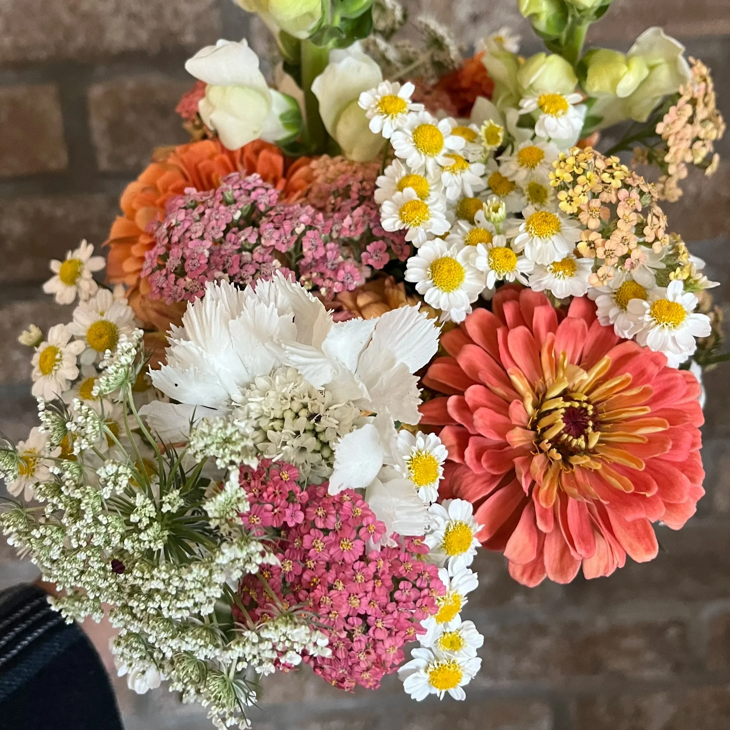 Cut Flower Garden Kit