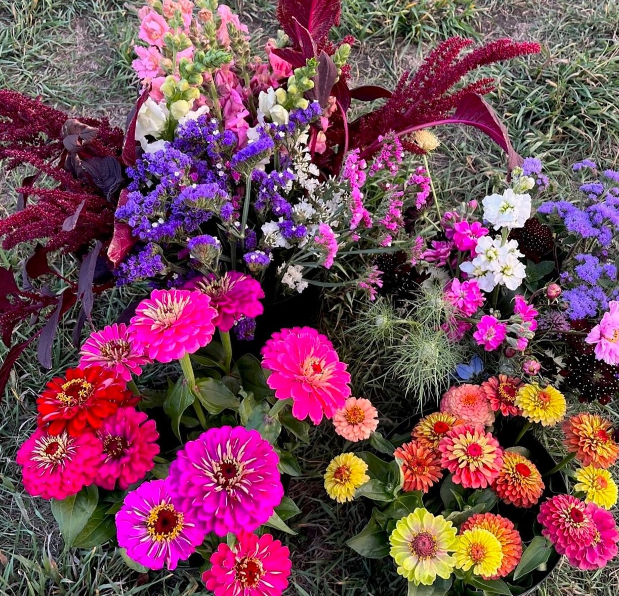 Bucket of Blooms