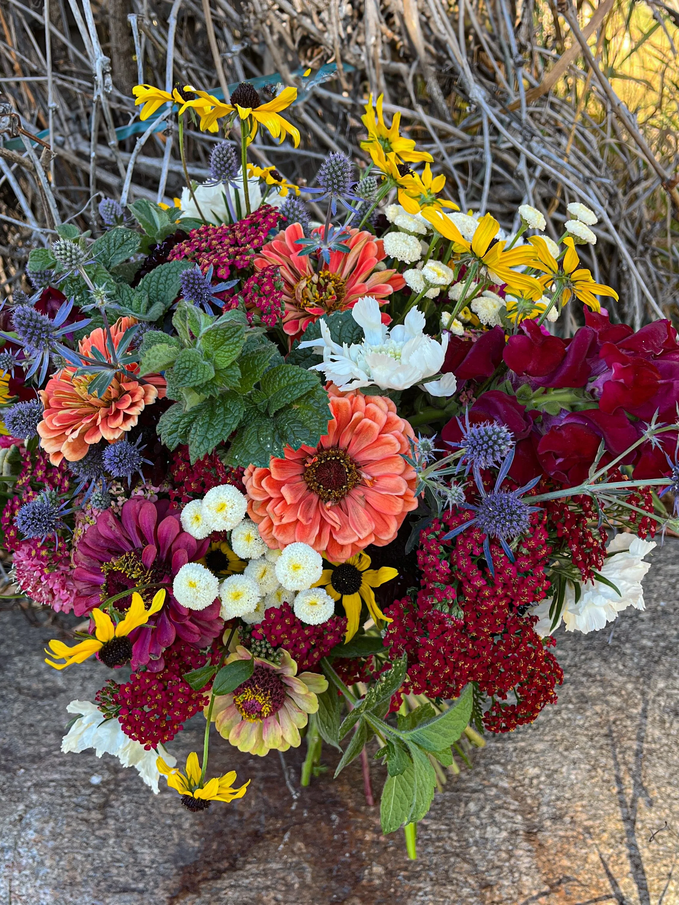Bouquet with zinnias, yarrow, rudbeckia, feverfew, snapdragons, apple mint, sea holly, and Fama scabiosa