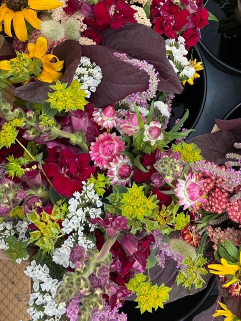 Cut Flower Garden Kit