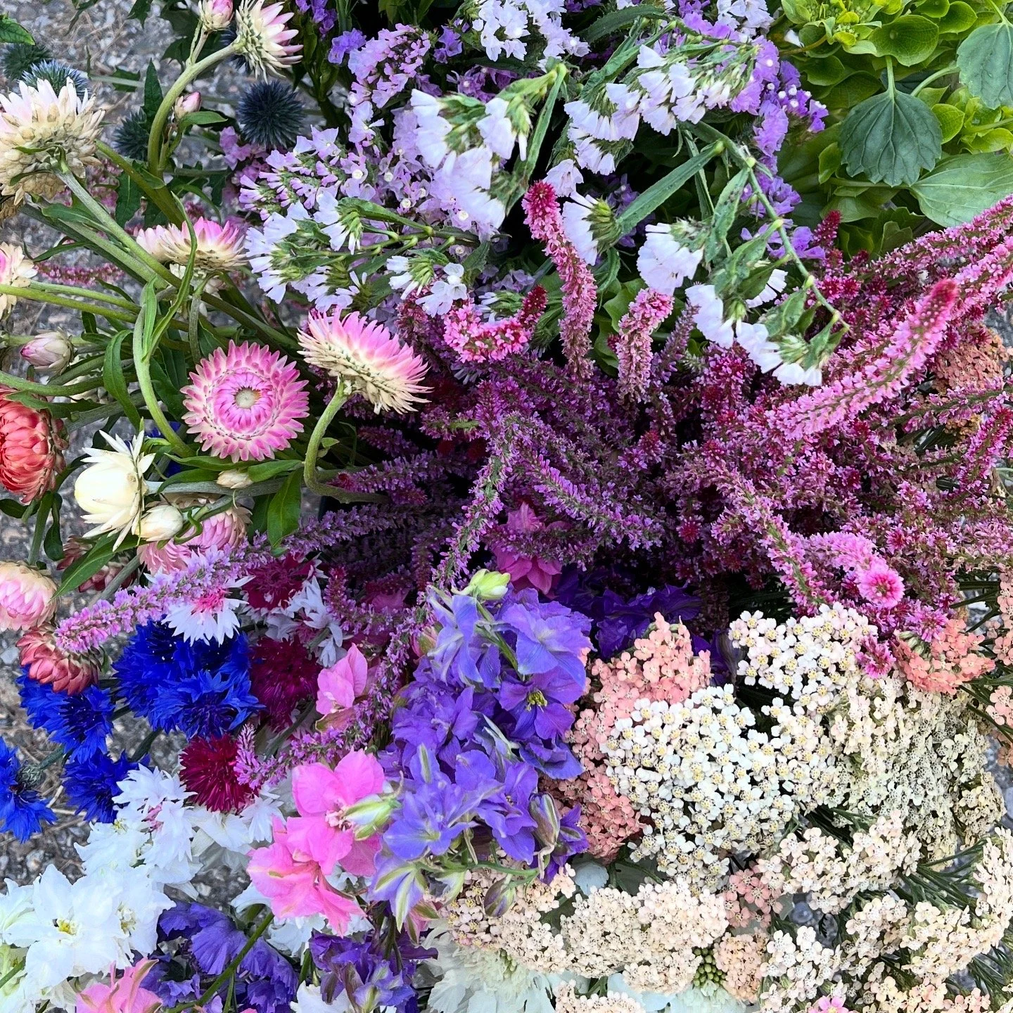 Buckets of flowers with yarrow, statice, strawflowers and bachelor buttons