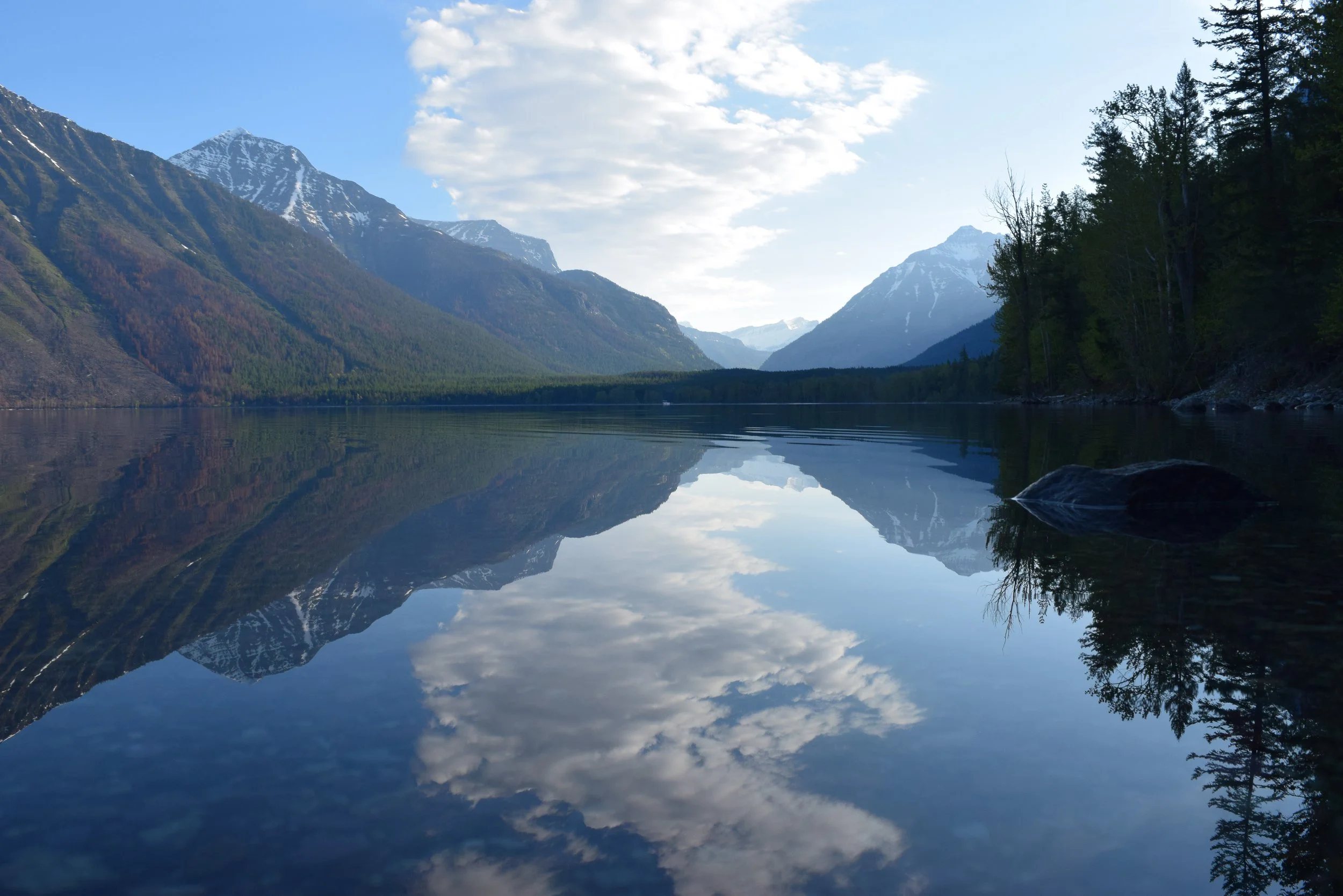 montana
