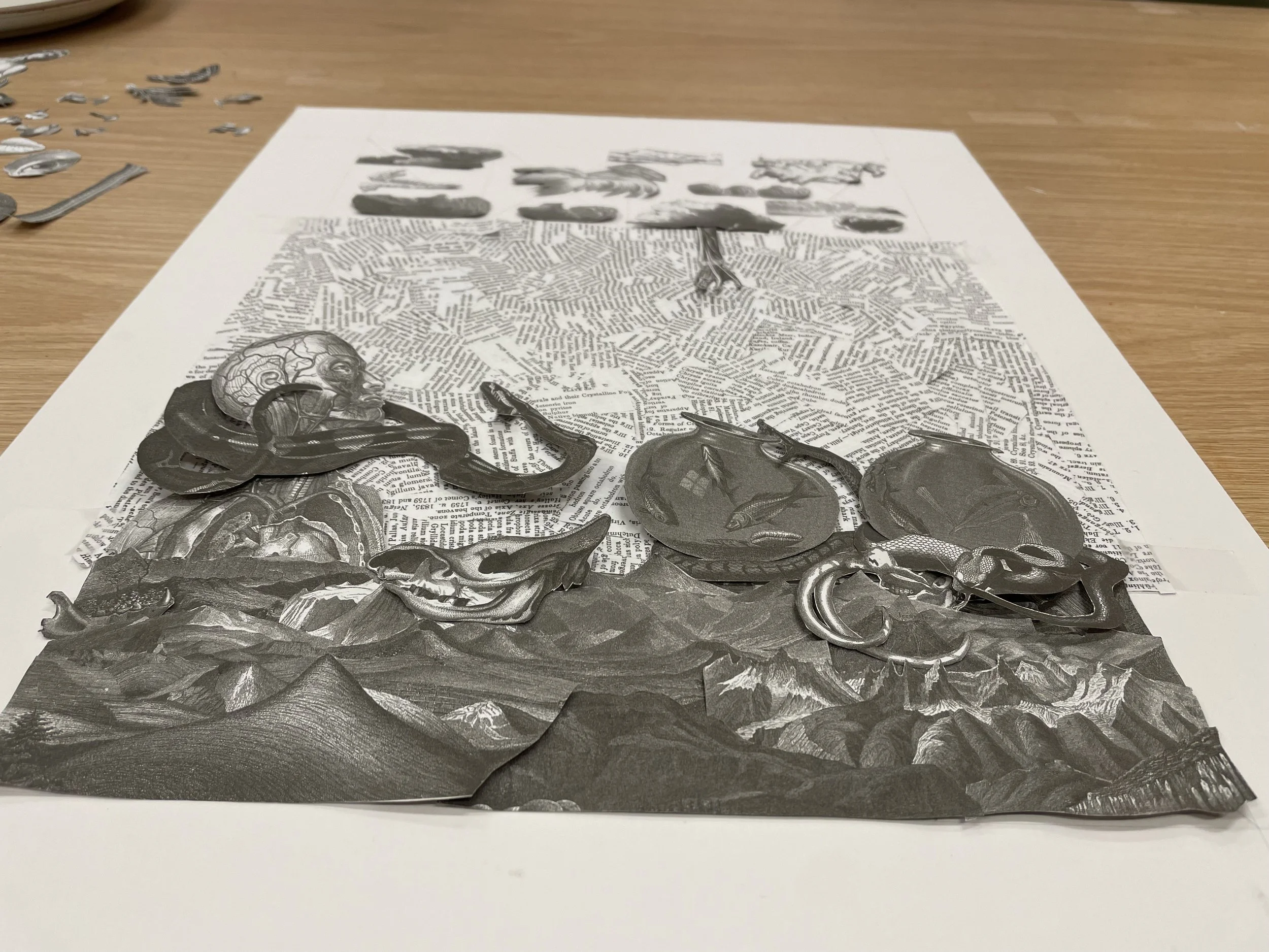 Final Layout
