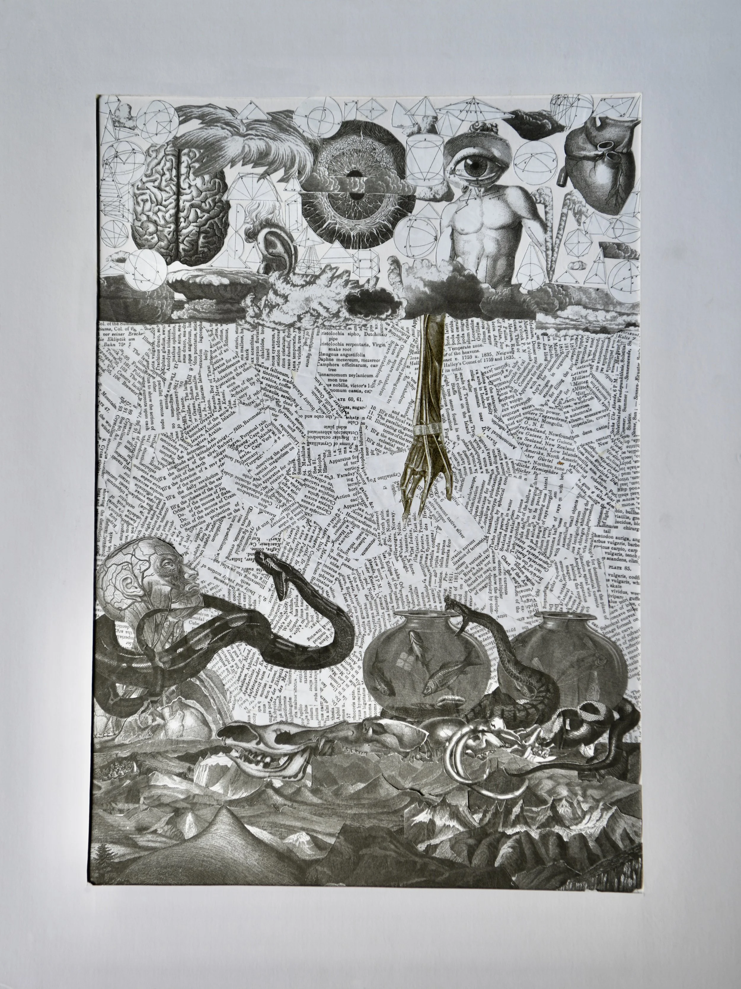 Heck's Collage