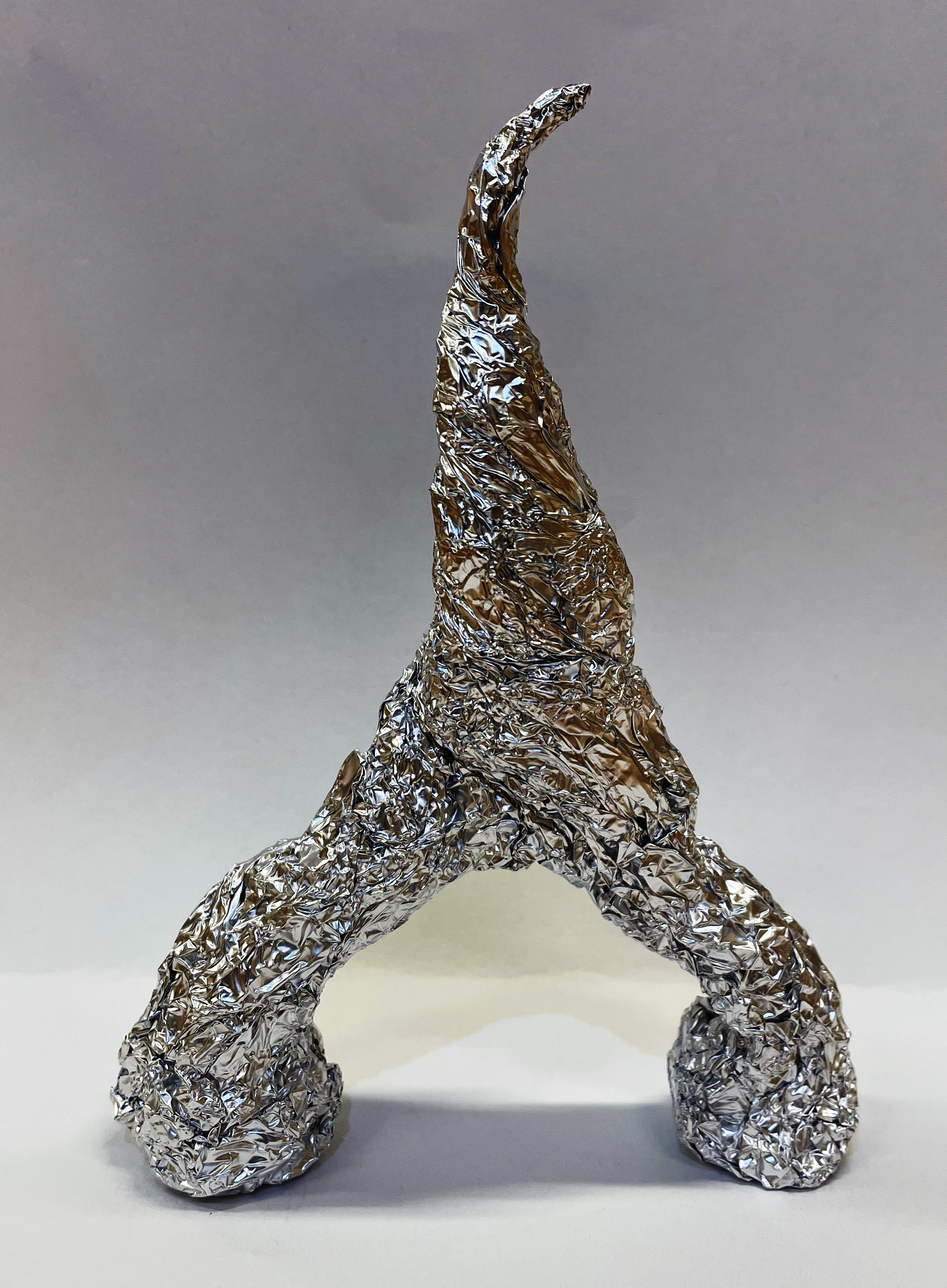 Organic Armature, Foil