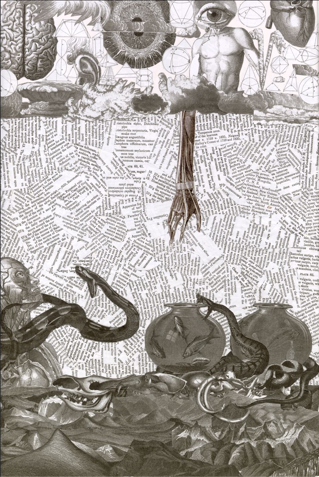 heck's archive of science collage