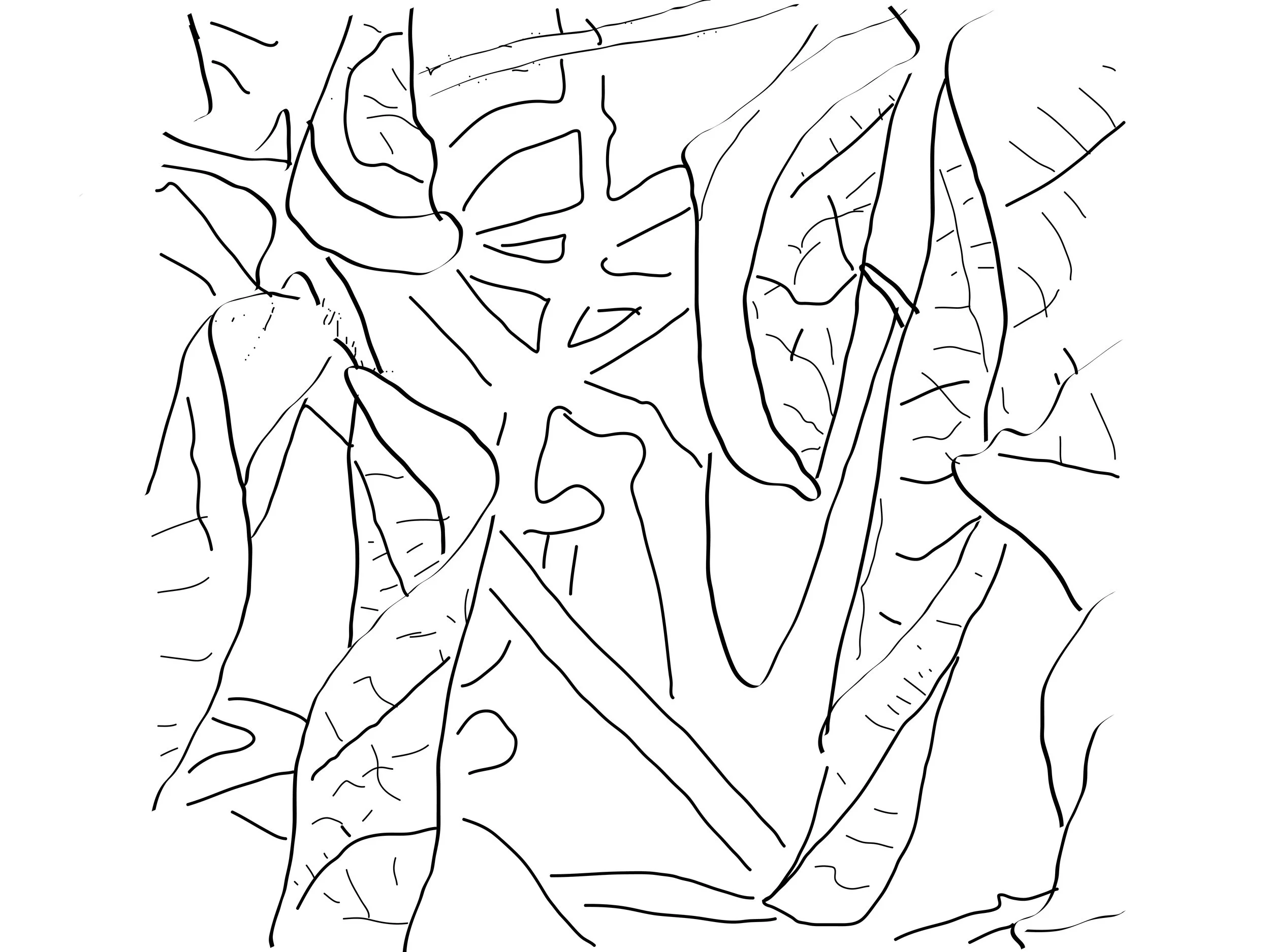 Texture Study of Dead Leaves, Digital Tracing