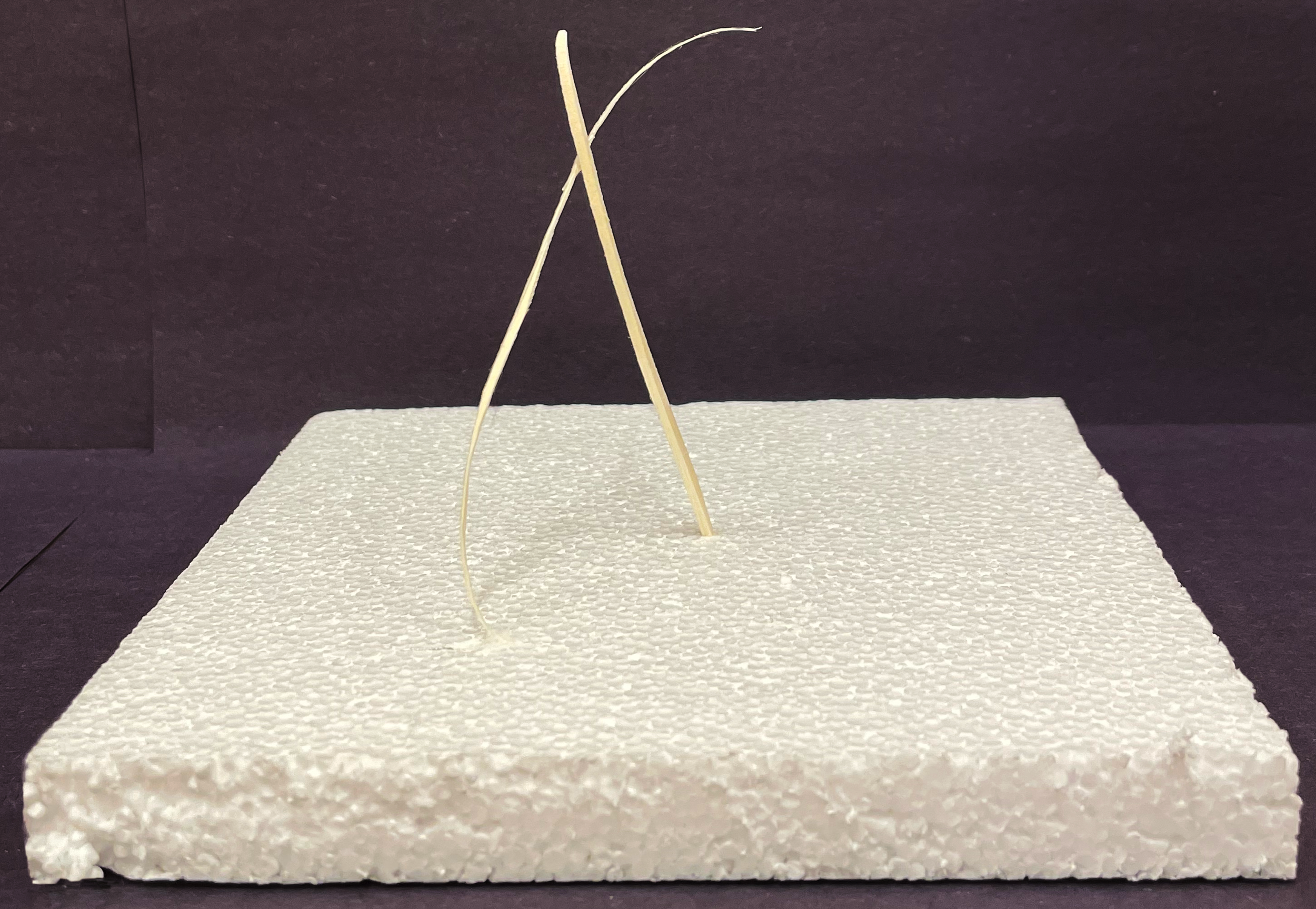 6" x 6" x 6" Craft Sticks on Foam, Economy Sculpture