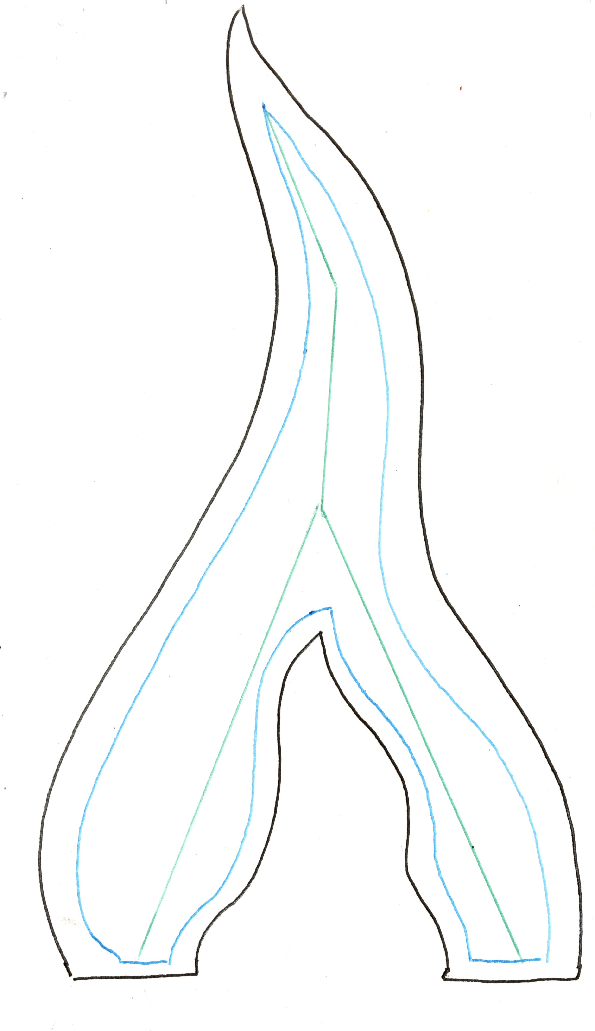 Organic Armature Plan, Ink on Paper