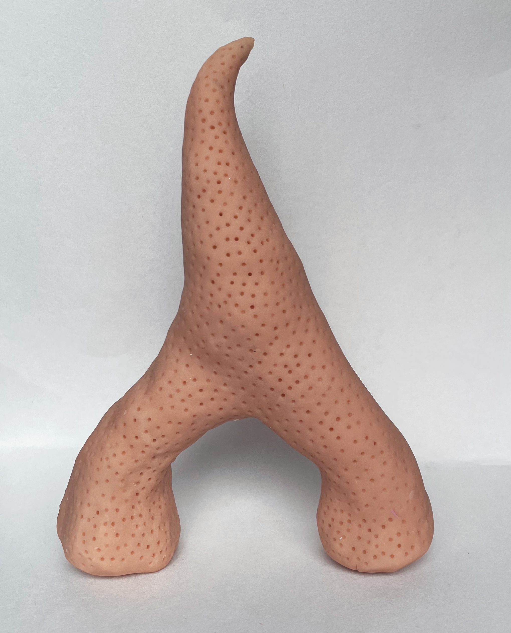 Organic Textured Model, Clay on Foil