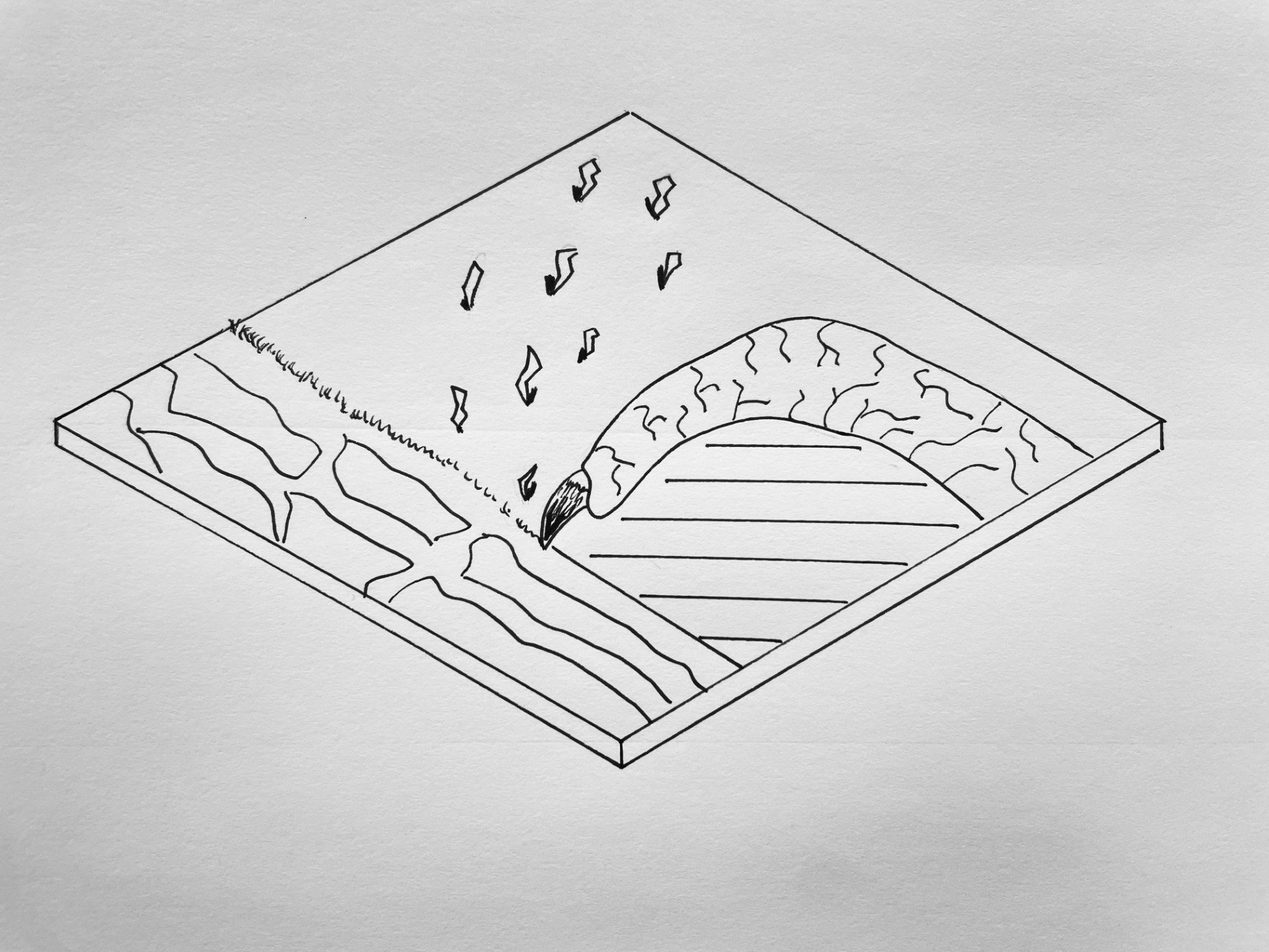Board Design