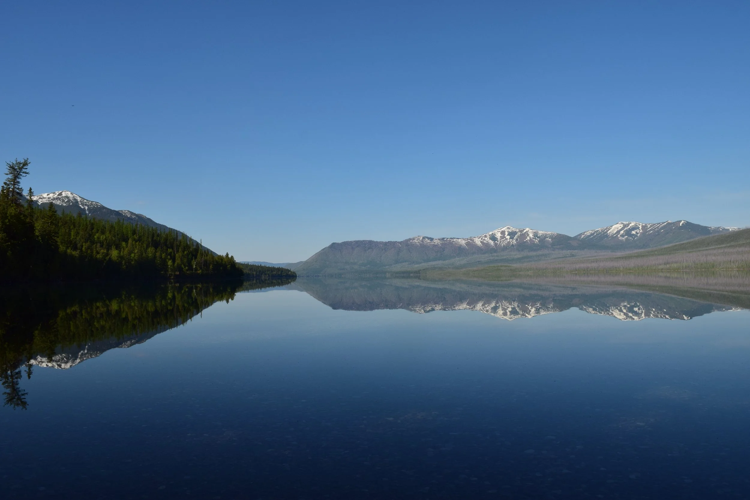 montana