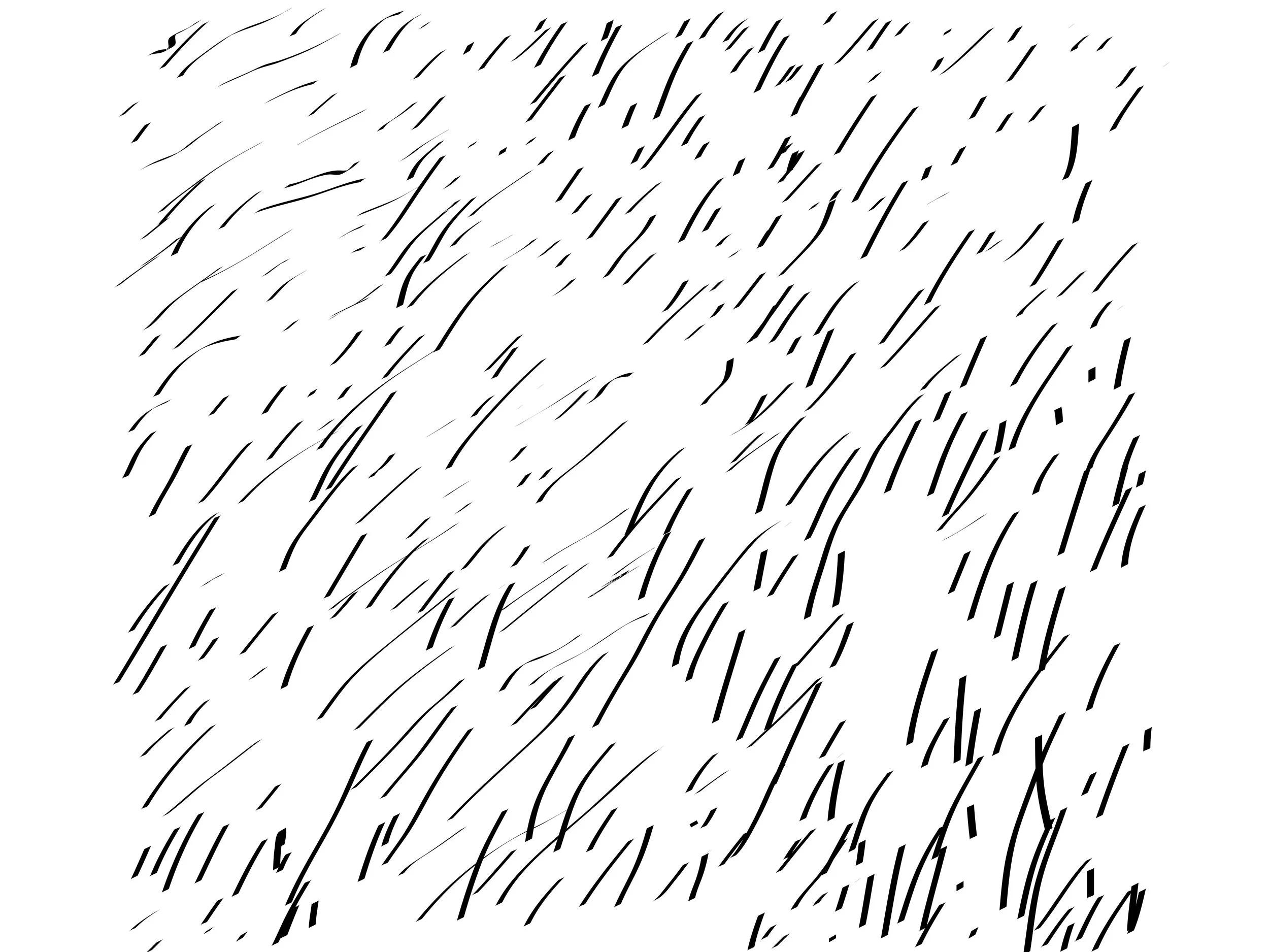 Texture Study of Rabbit Fur, Digital Tracing