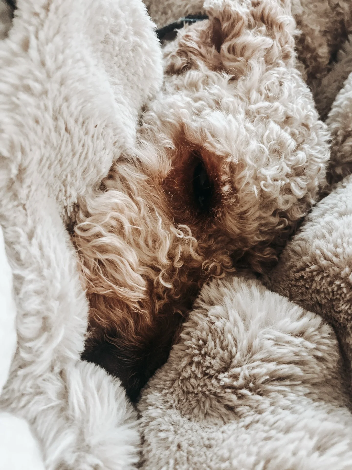 December (pre-holiday) - my favourite chapter.
Traditions, friends, eats, treats.
Random moments &amp; details worth remembering 🤍