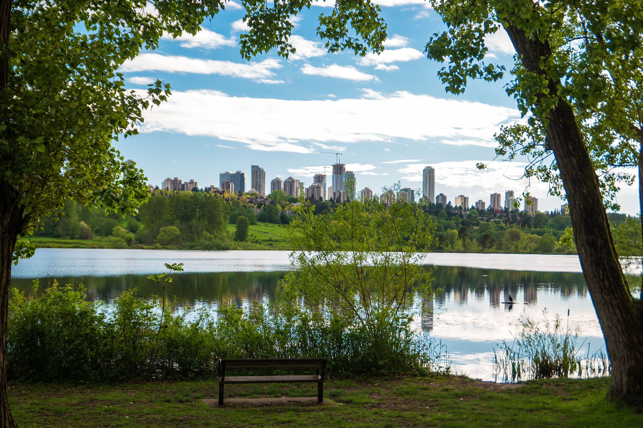 lake3.jpg