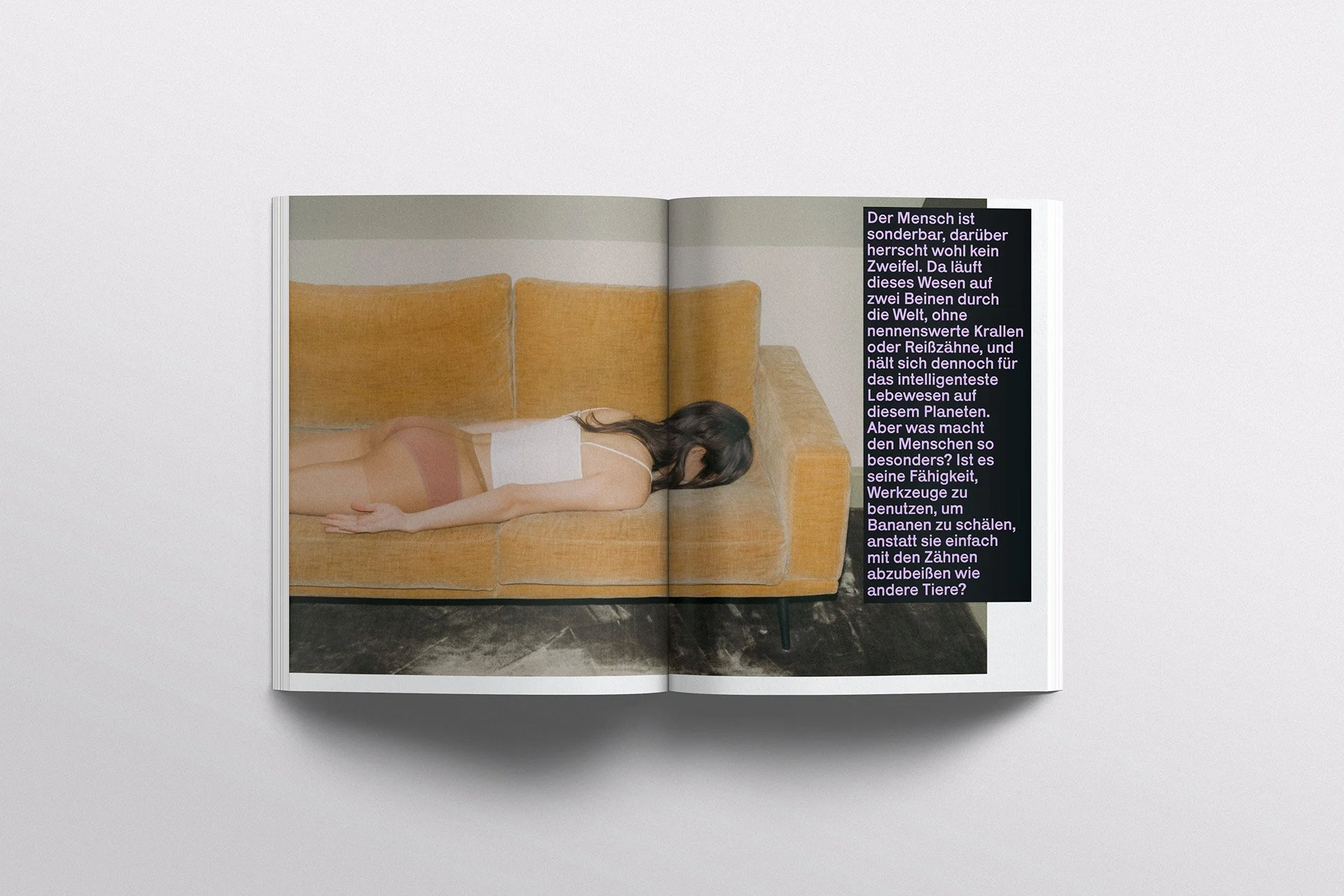 Species_Scene 02_01.jpg