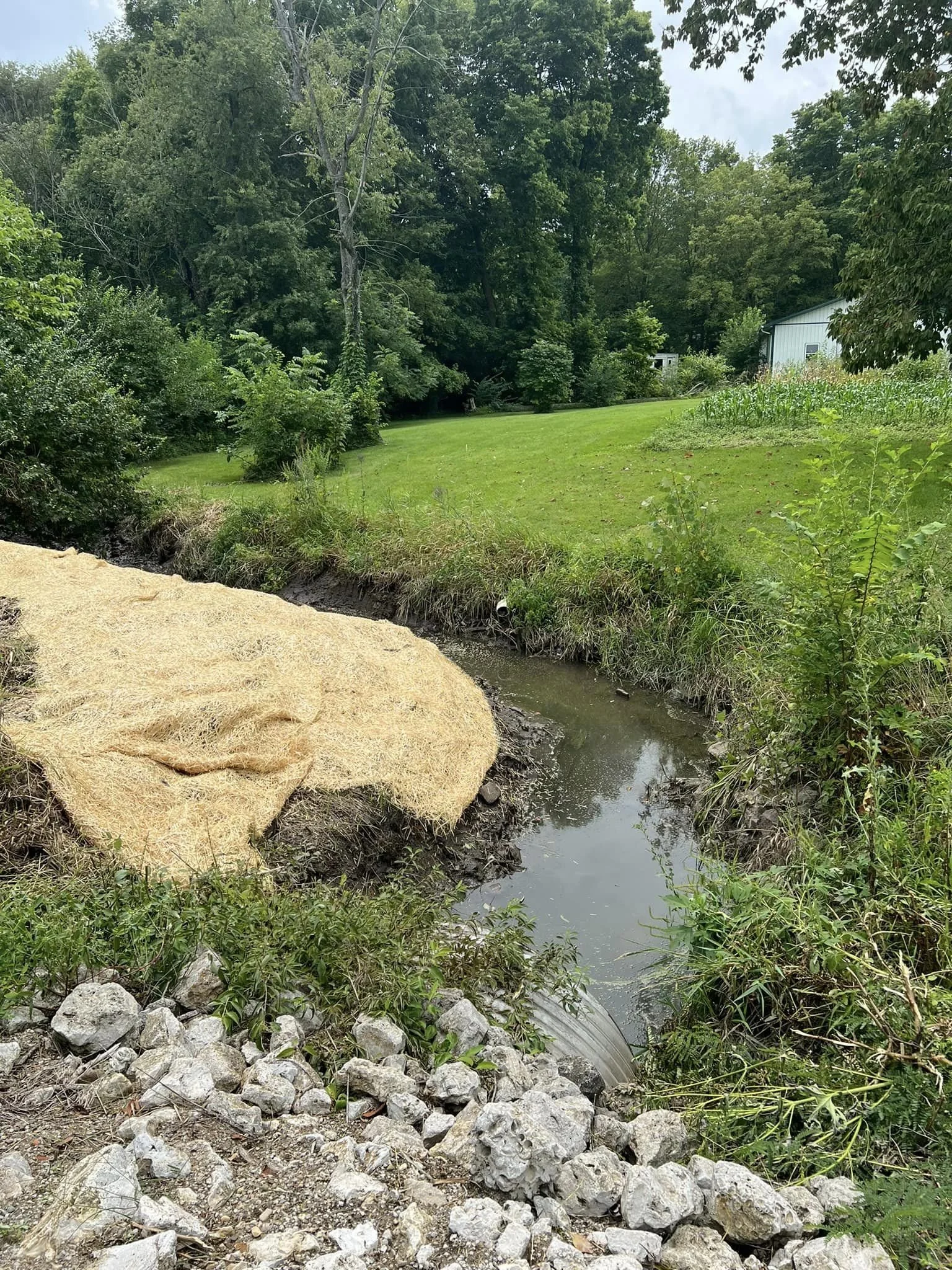 ditch after.jpg