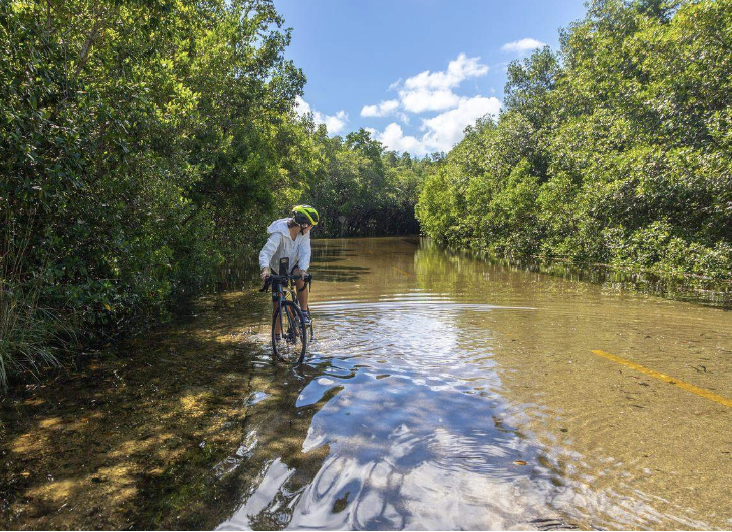 Screenshot 2026-03-07 at 11.40.46 PM.png