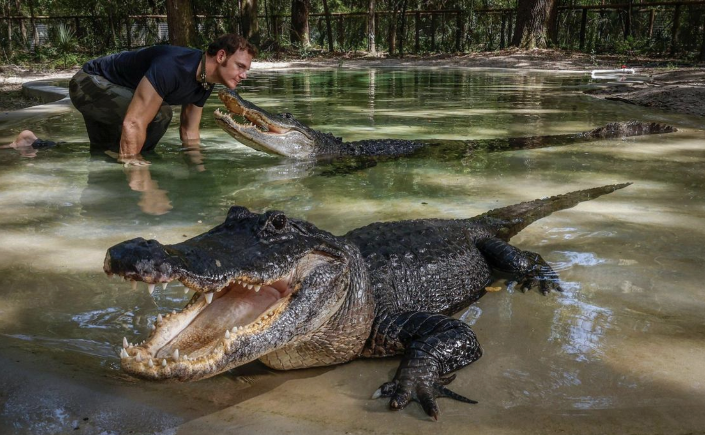 Millions watch as they swim with gators, snatch snakes. Meet the Everglades influencers