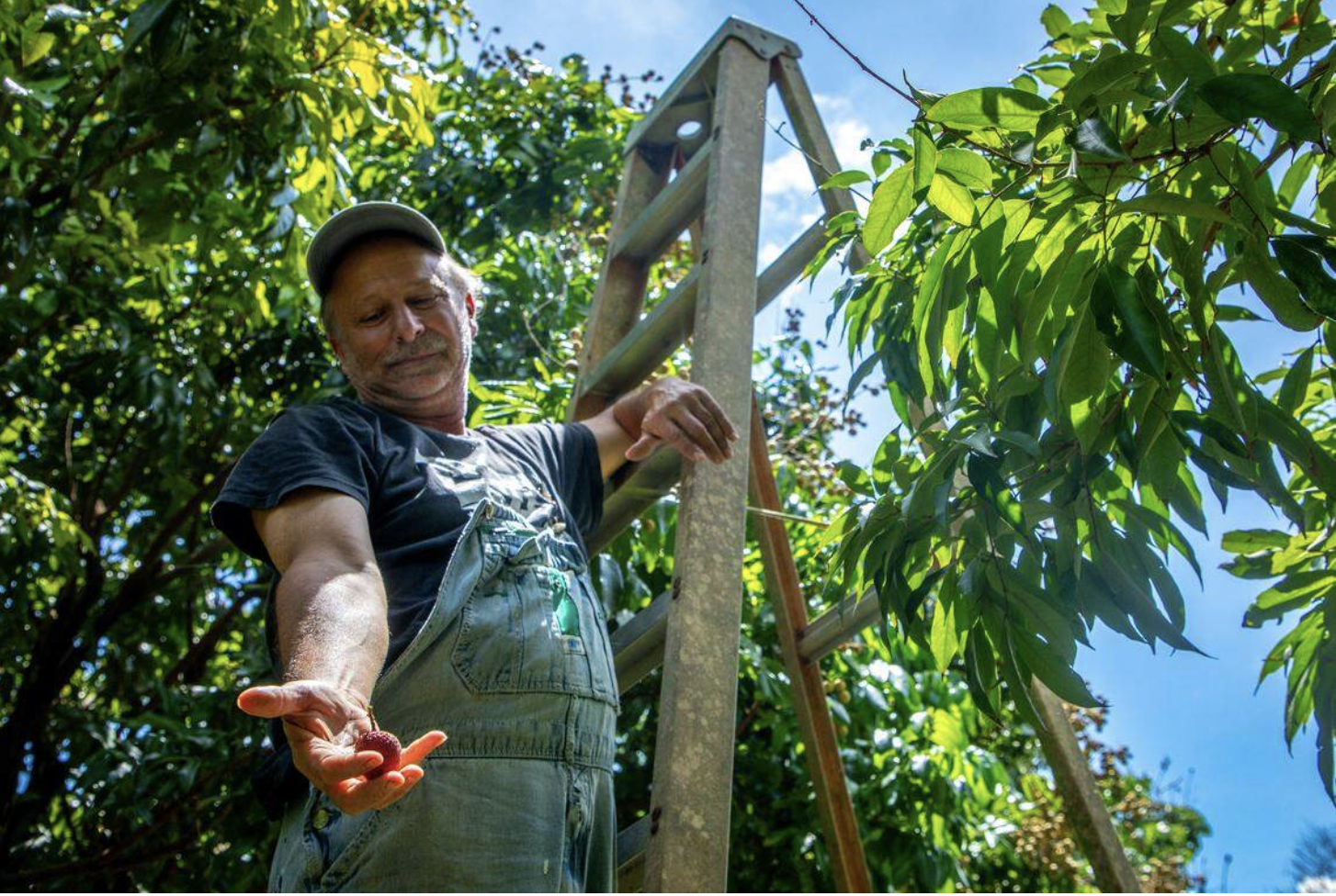 Screenshot 2026-03-07 at 11.39.25 PM.png