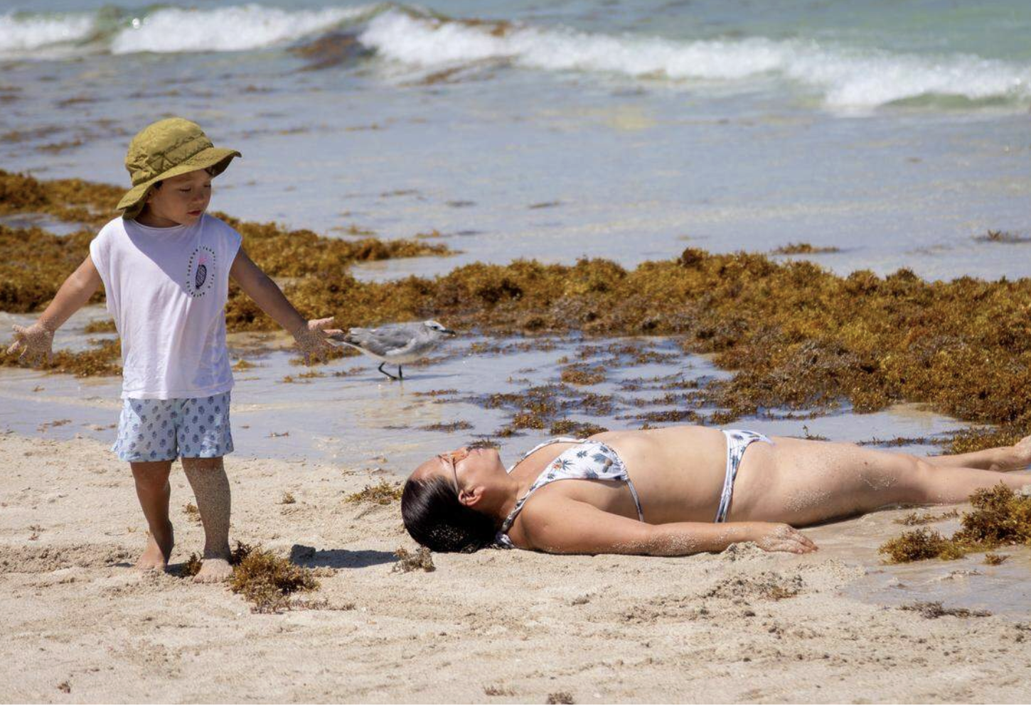 Screenshot 2026-03-07 at 11.45.36 PM.png