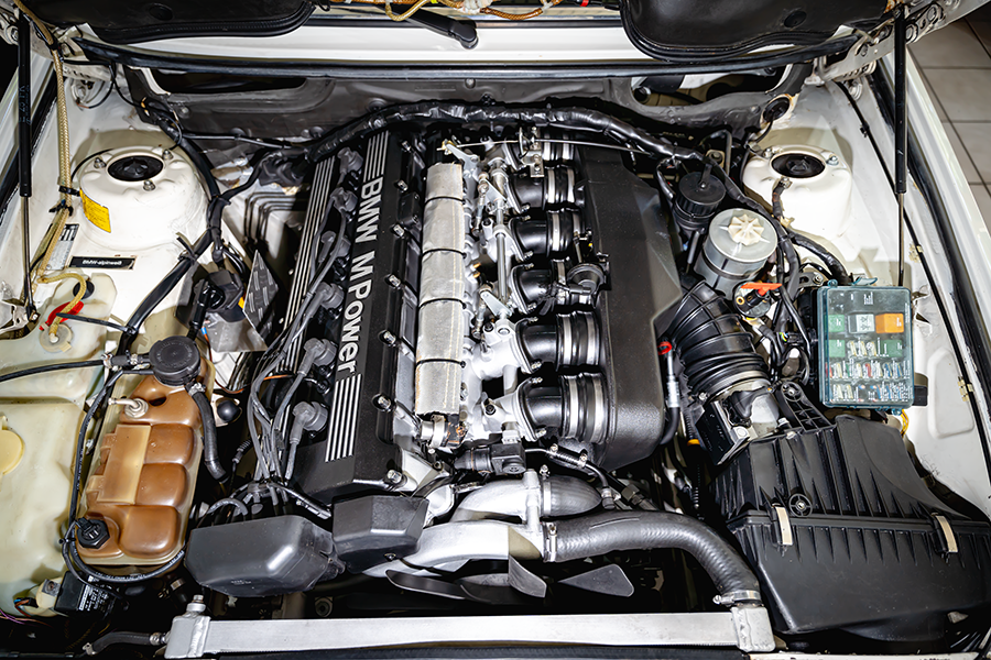 _DSC10531.png