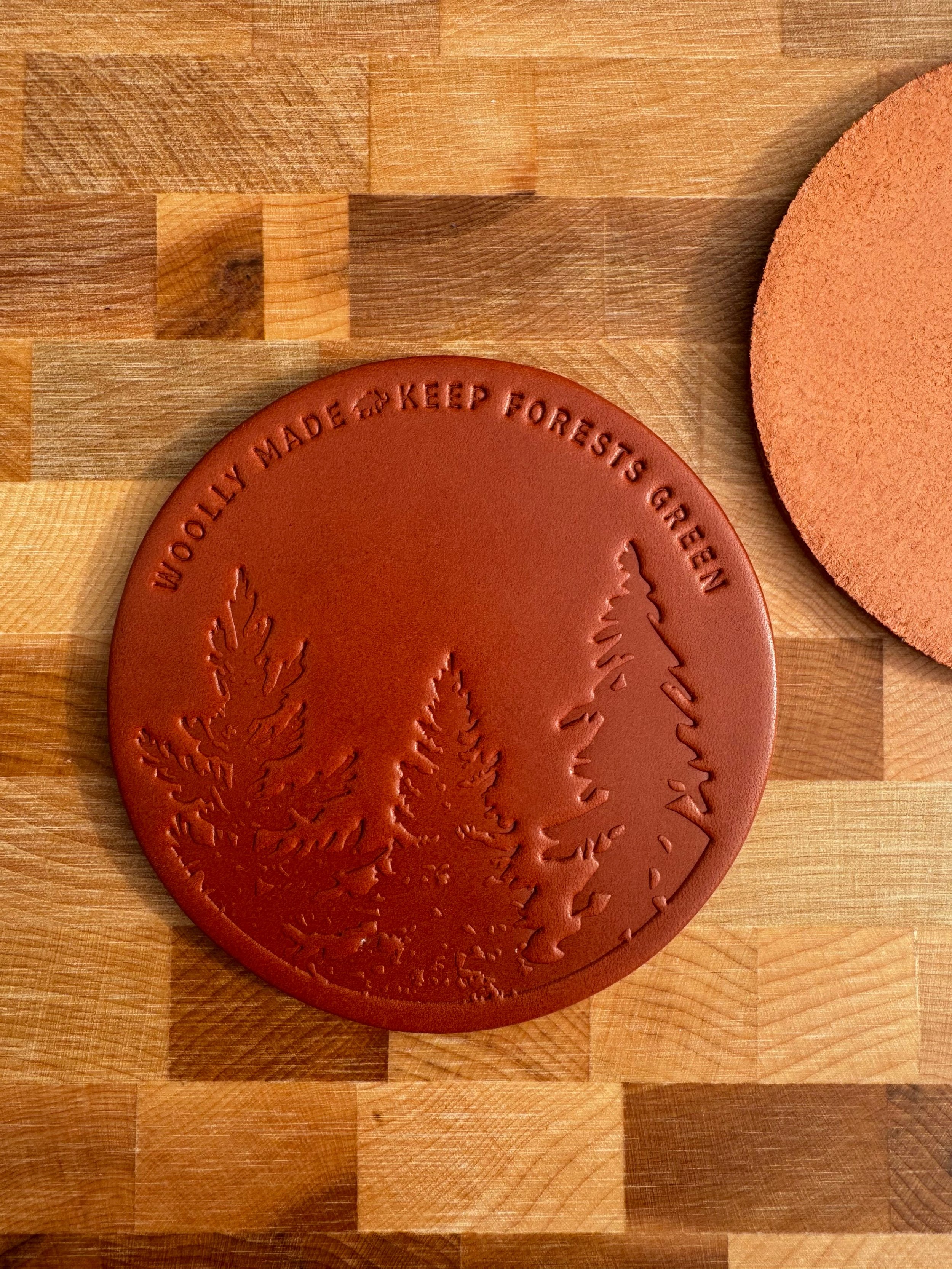 Attachment-1 single.jpeg