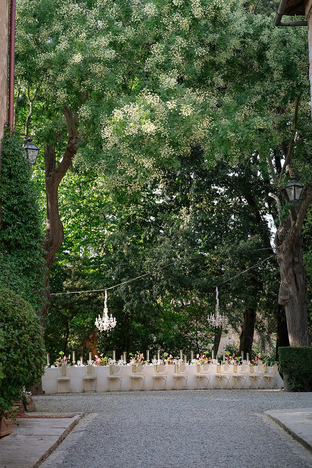 T&D_Wedding_0806.jpg