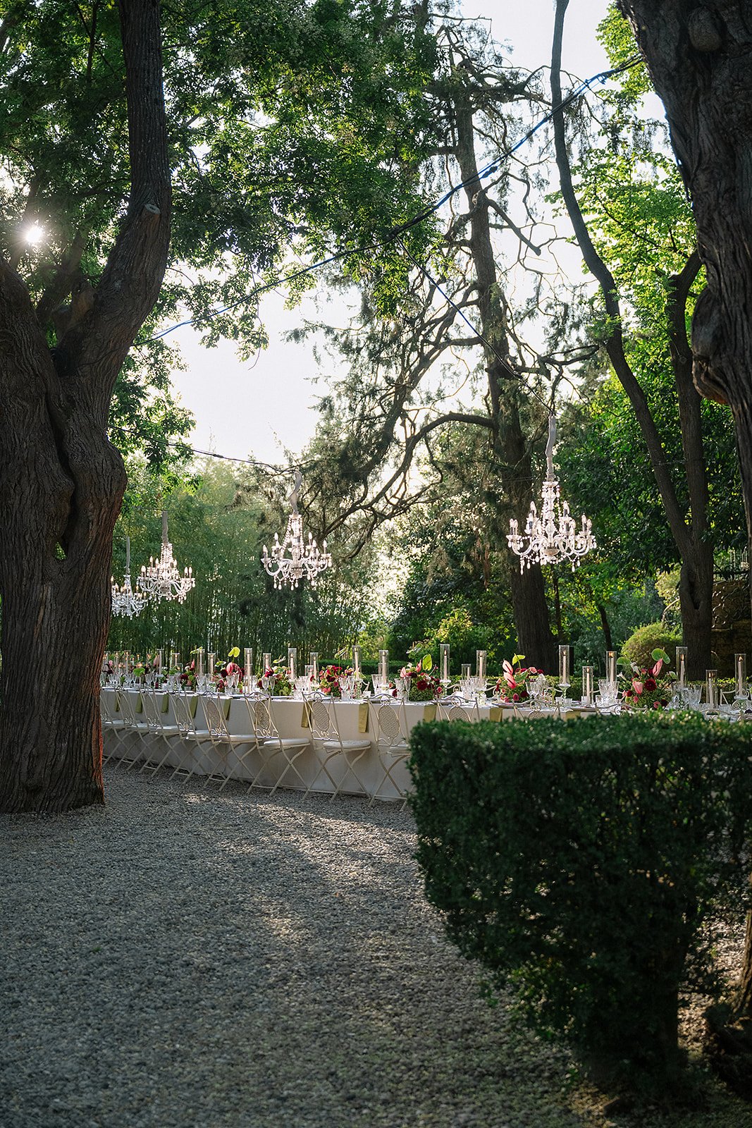 T&D_Wedding_0866.jpg