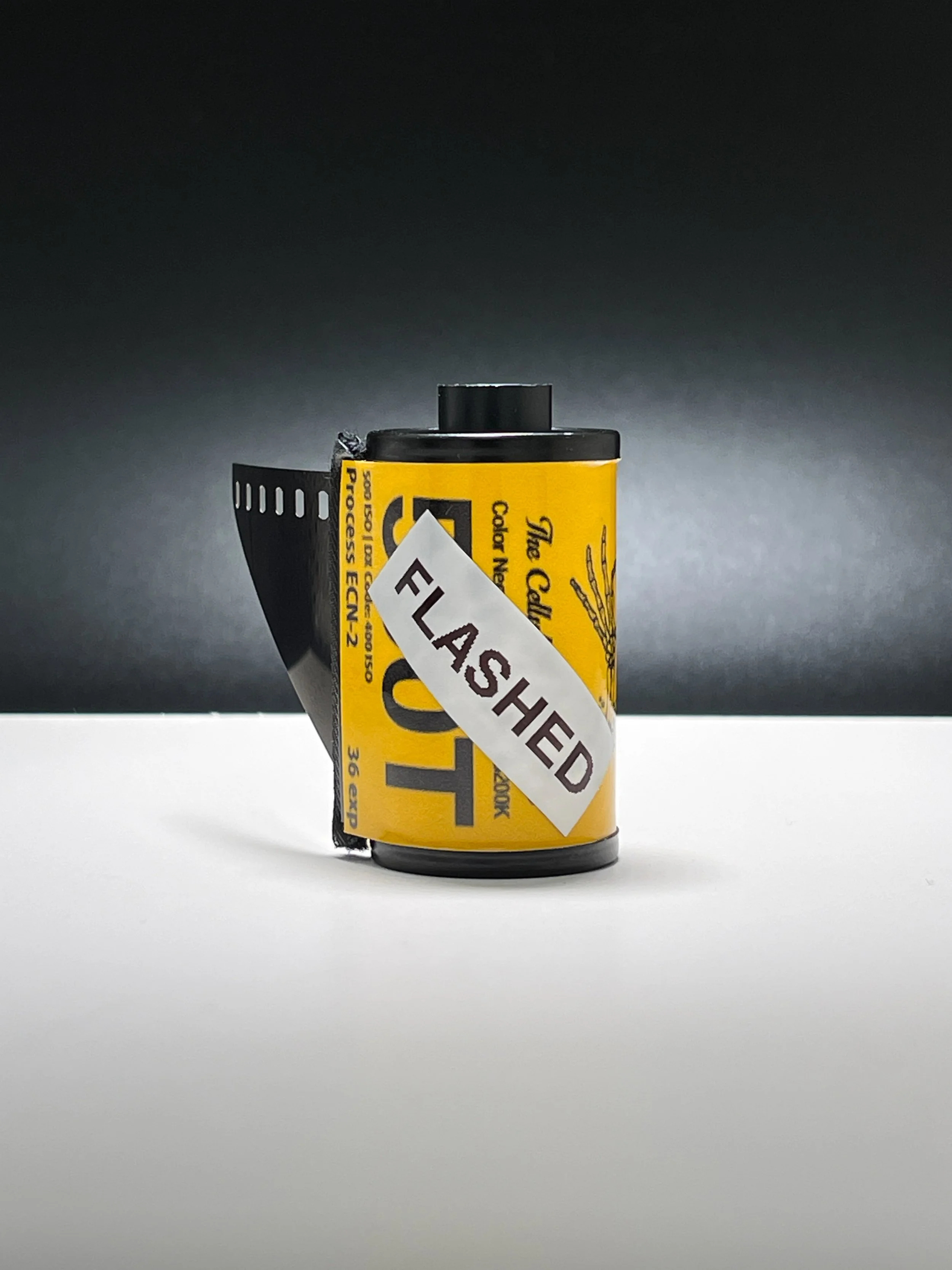 FLASHED Vision 3 500T | Color Motion Picture Film