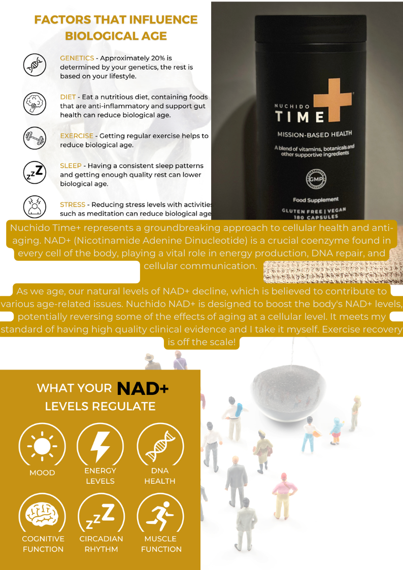 NAD+.png