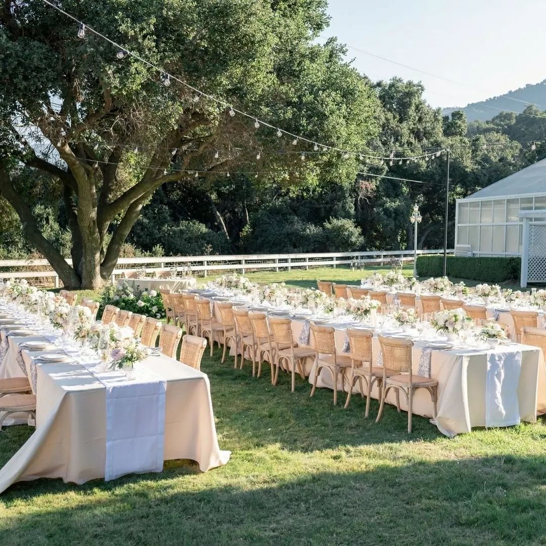 An al fresco reception on the Paddock House back lawn ... 😍 
Nestled within the serene confines of Double H Ranch, this dreamy setting offers an unparalleled ambiance, seamlessly blending intimacy and picturesque beauty. It's the ideal choice for co