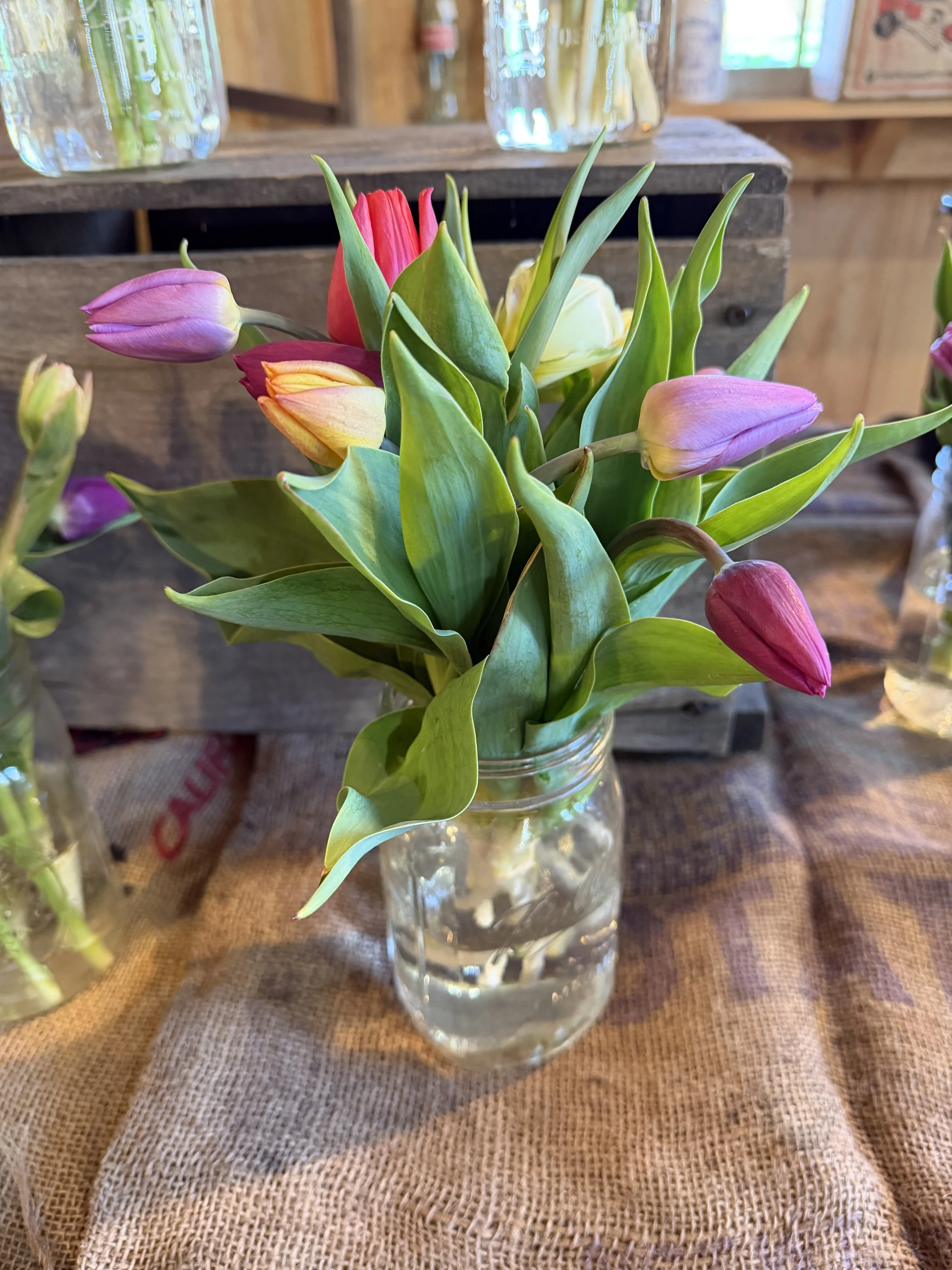 Jarred tulips.JPG